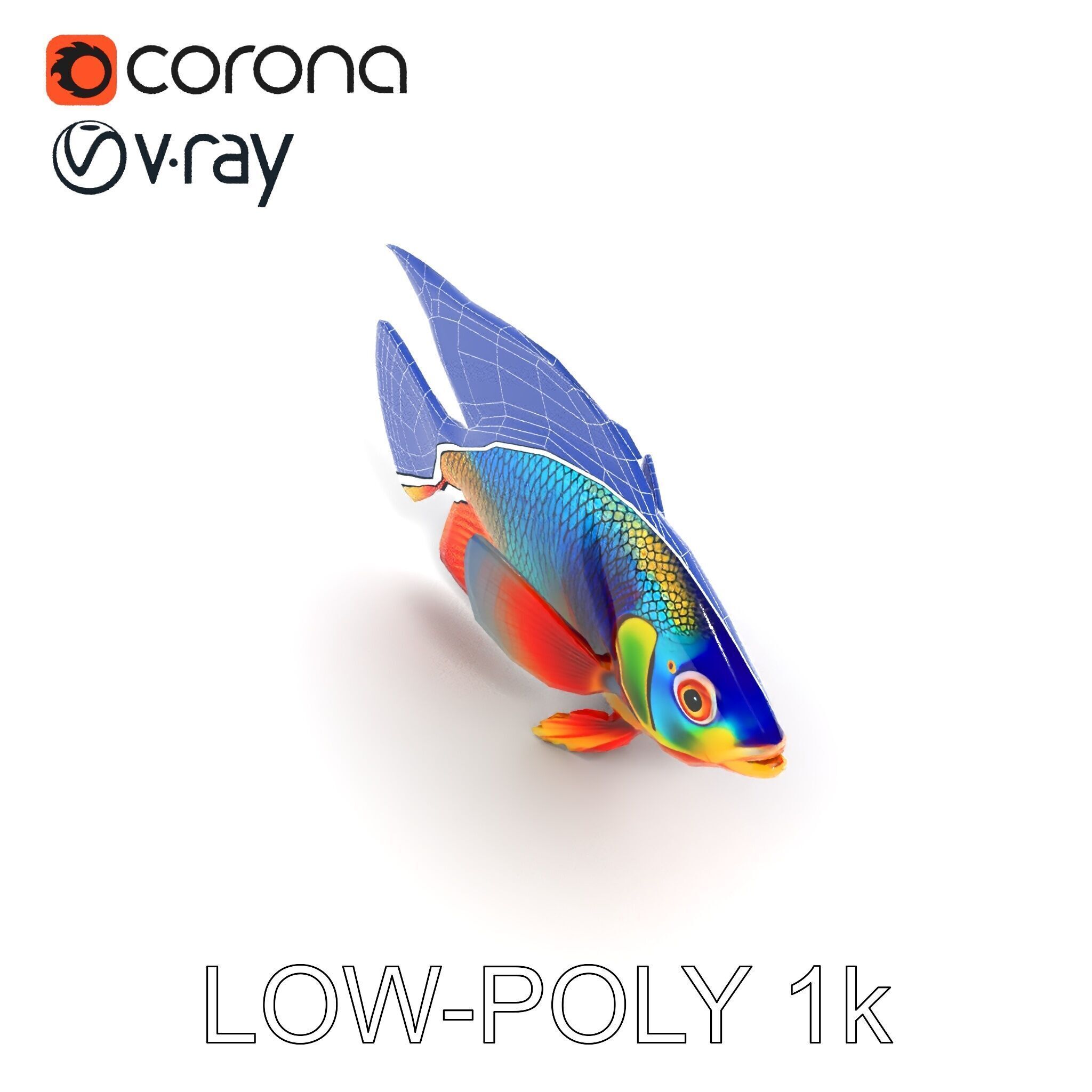 Colorful Tropical Fish Model Pack with PBR Textures Low-poly 3D model_30