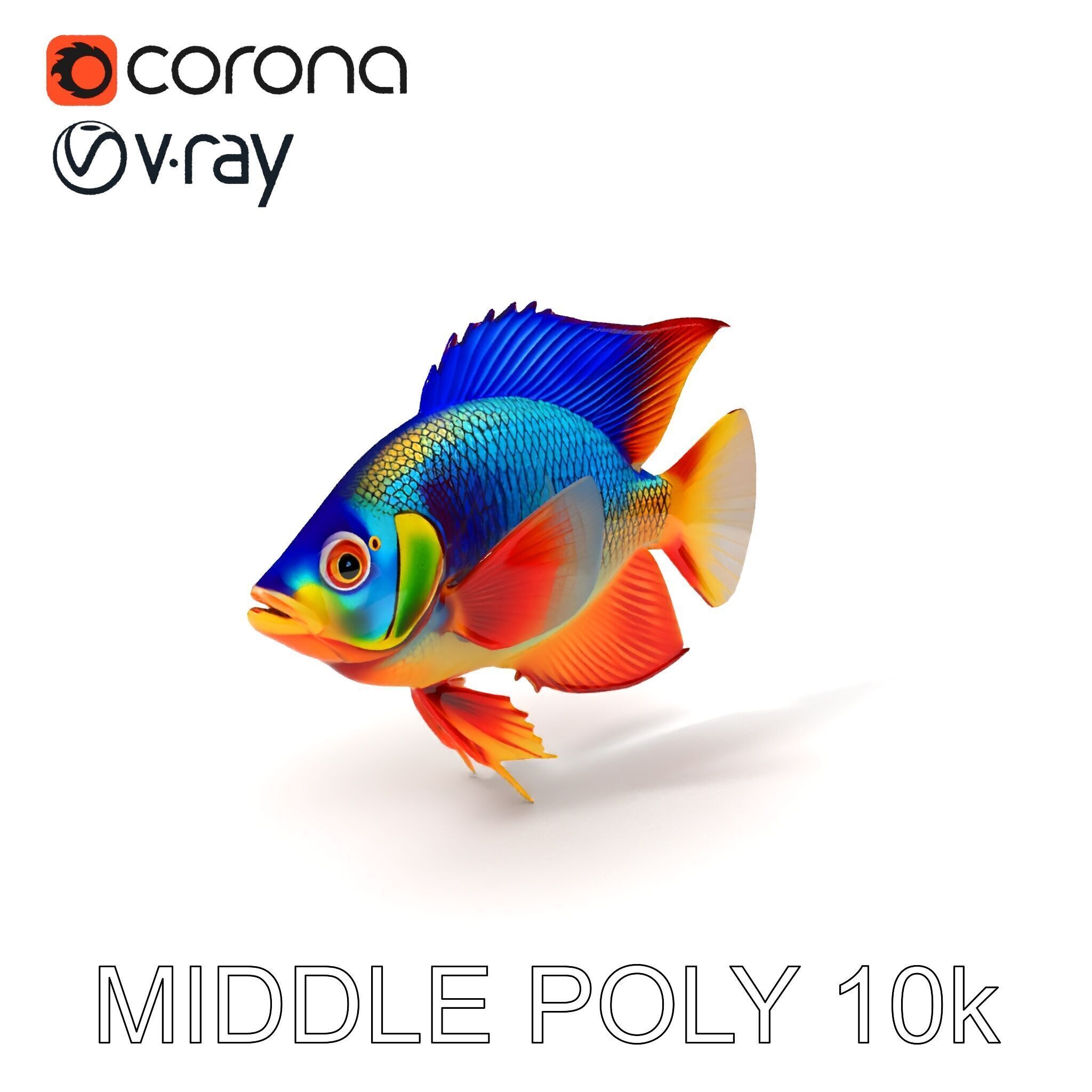Colorful Tropical Fish Model Pack with PBR Textures Low-poly 3D model_29