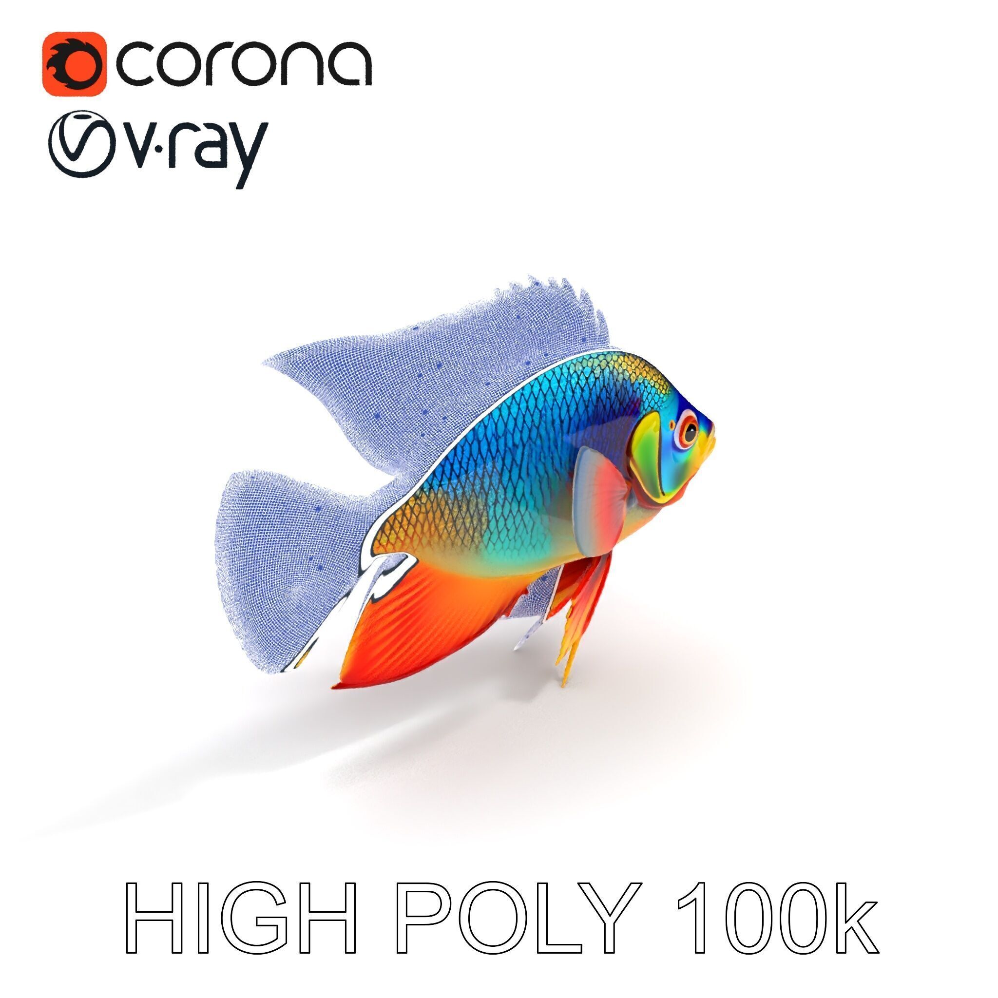 Colorful Tropical Fish Model Pack with PBR Textures Low-poly 3D model_33