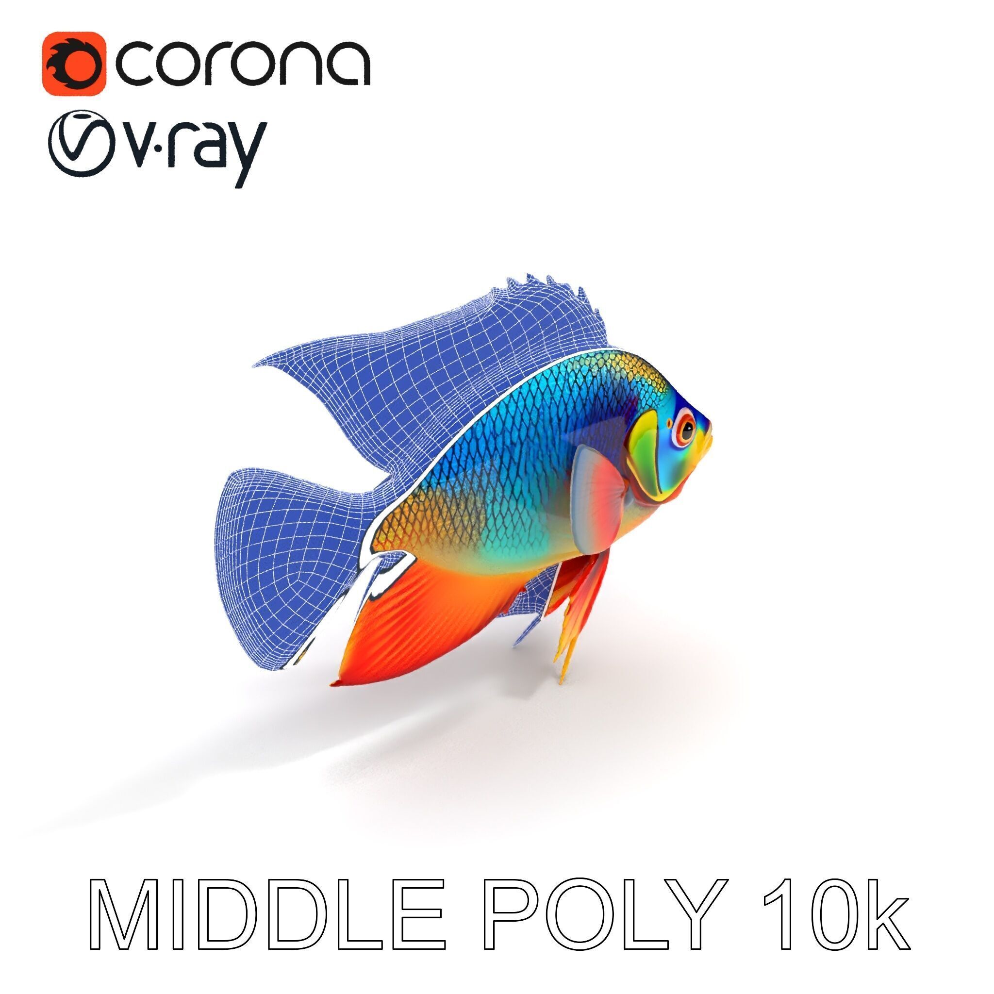Colorful Tropical Fish Model Pack with PBR Textures Low-poly 3D model_34