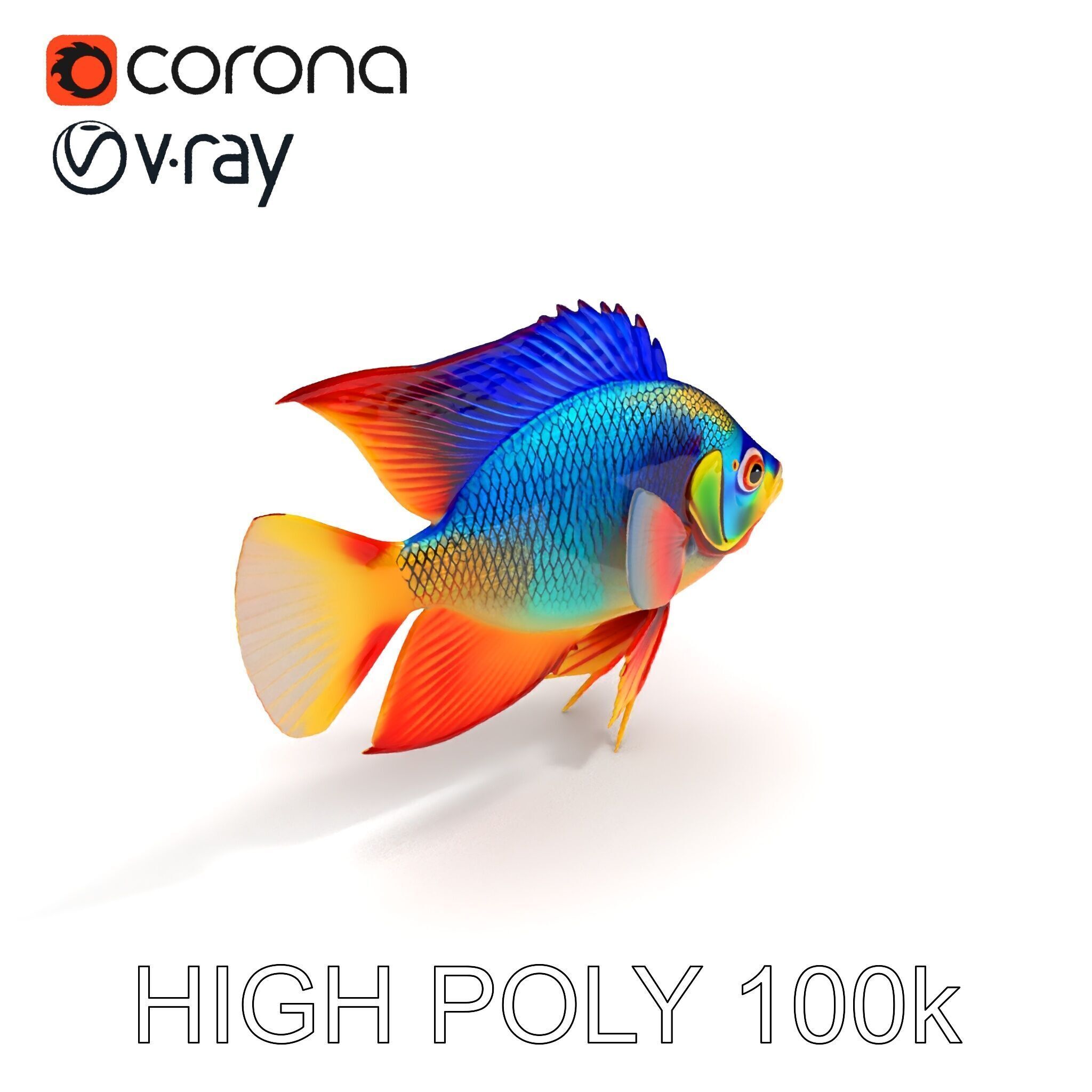 Colorful Tropical Fish Model Pack with PBR Textures Low-poly 3D model_19