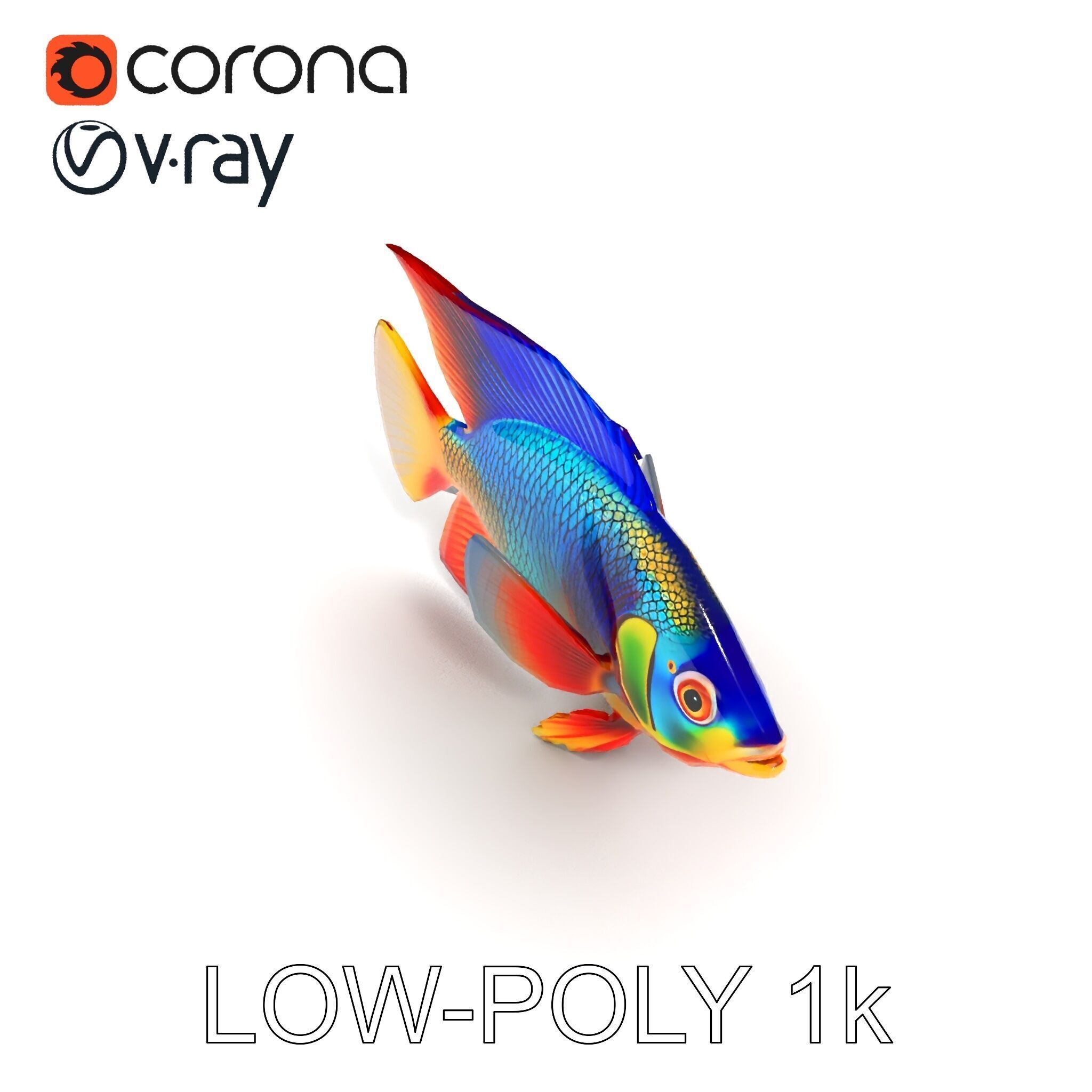 Colorful Tropical Fish Model Pack with PBR Textures Low-poly 3D model_10