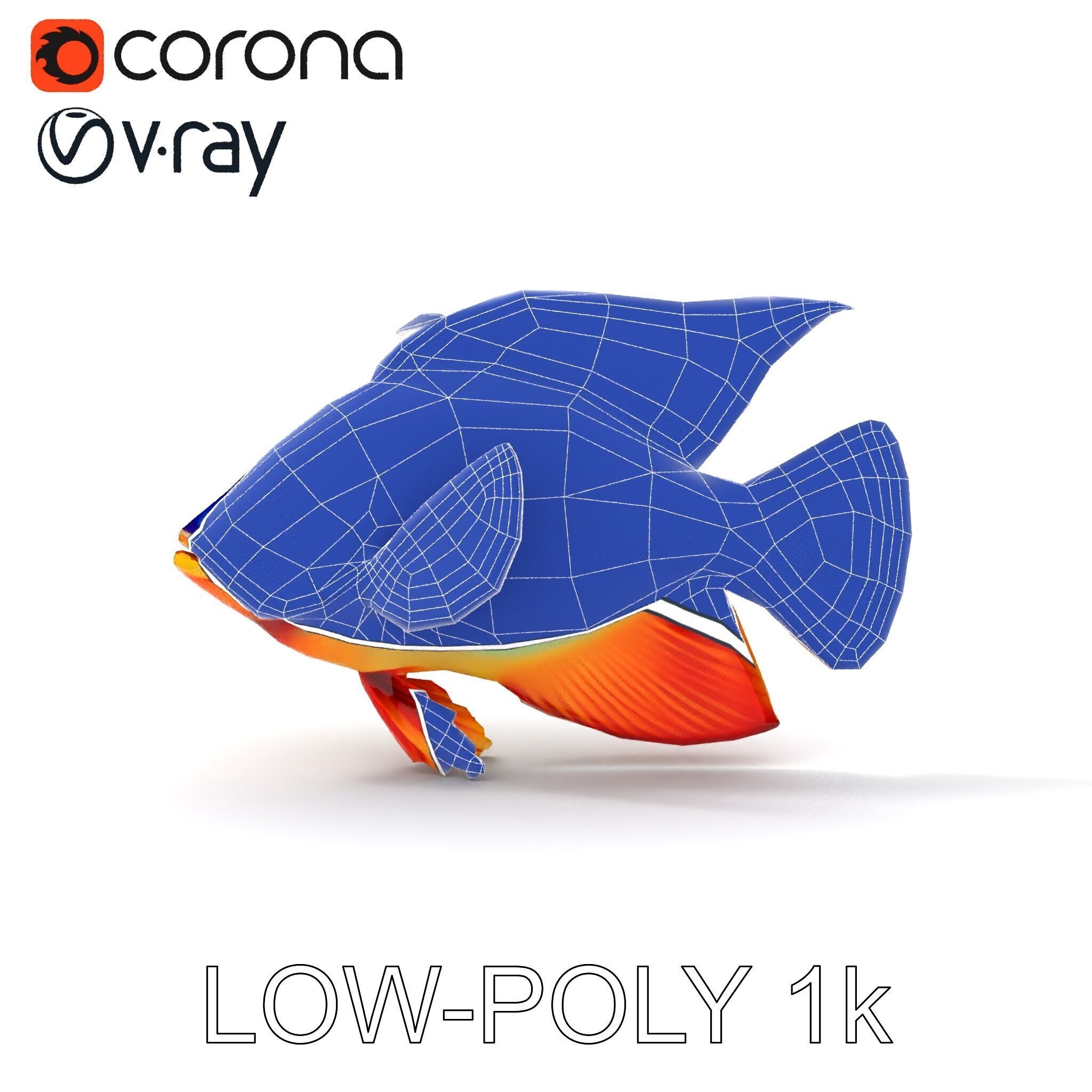 Colorful Tropical Fish Model Pack with PBR Textures Low-poly 3D model_32