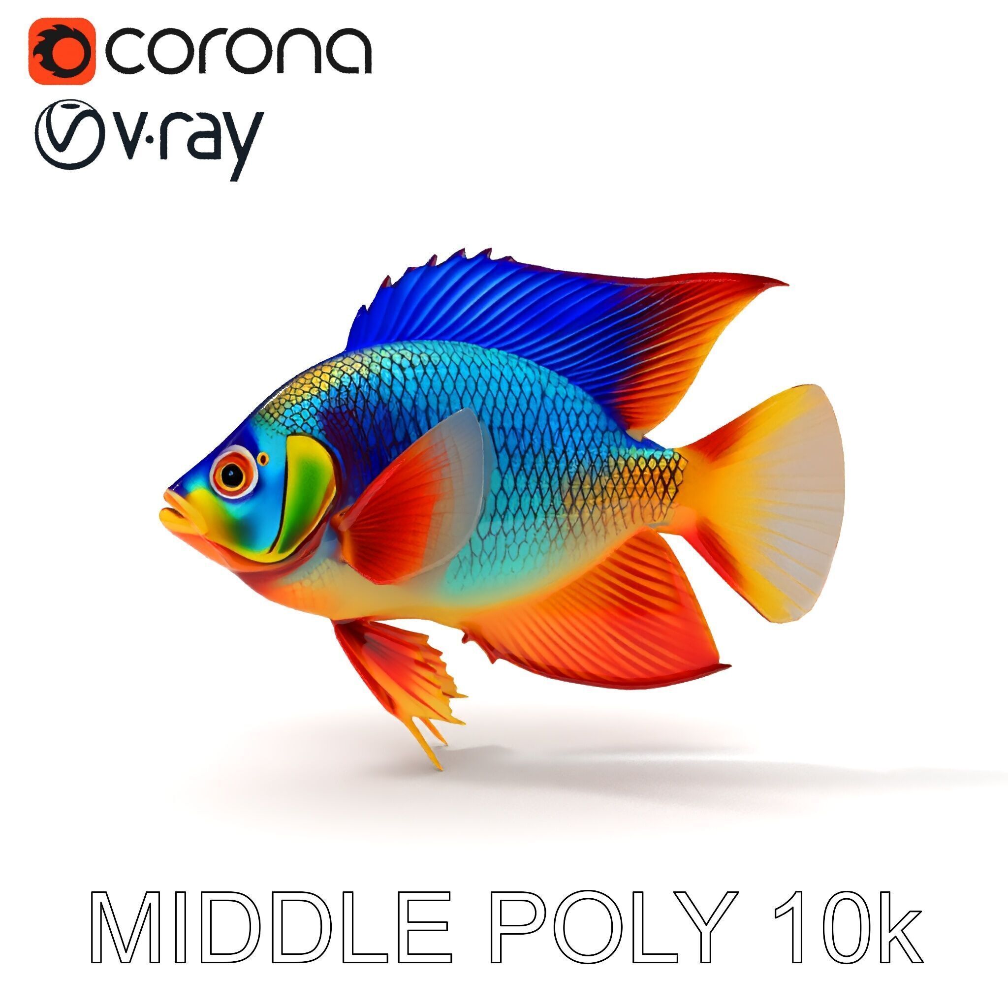 Colorful Tropical Fish Model Pack with PBR Textures Low-poly 3D model_14