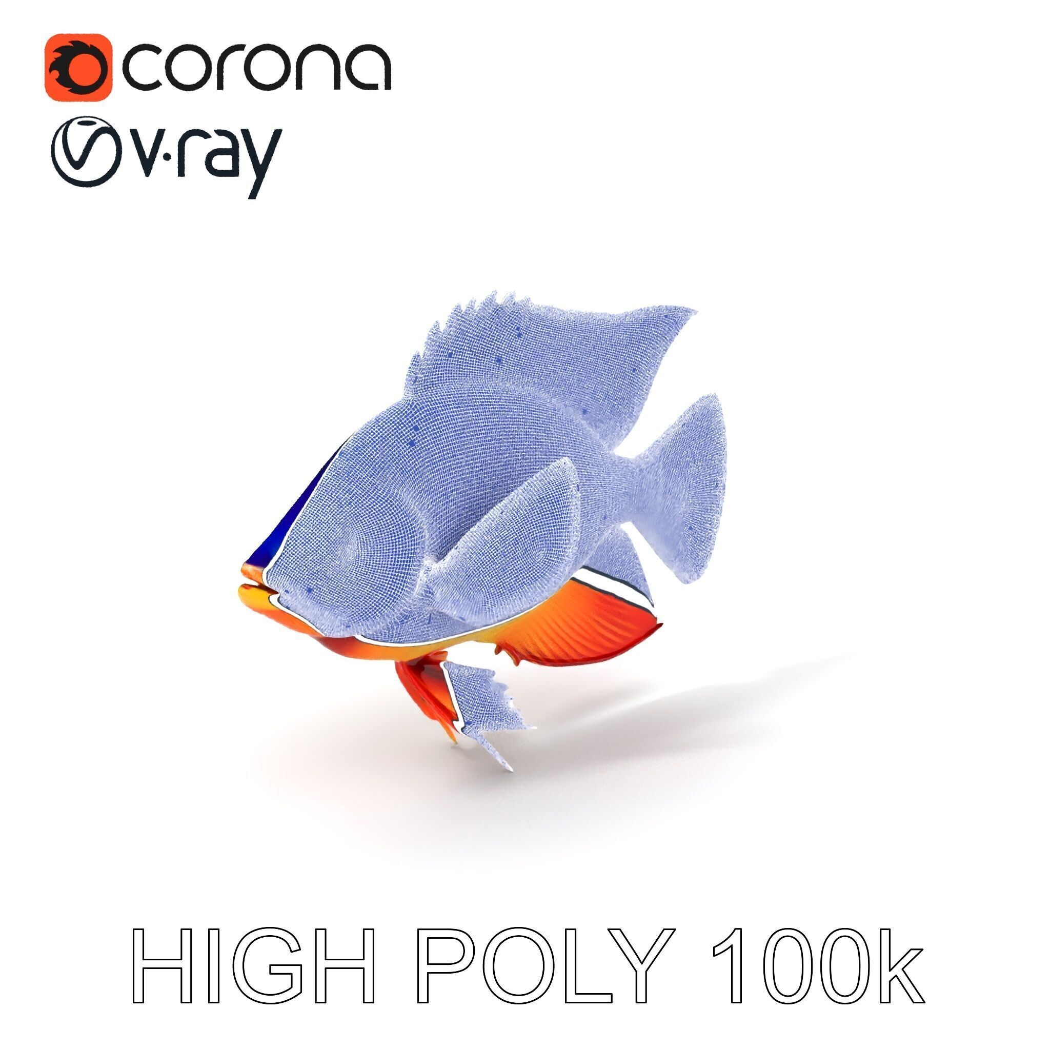 Colorful Tropical Fish Model Pack with PBR Textures Low-poly 3D model_3