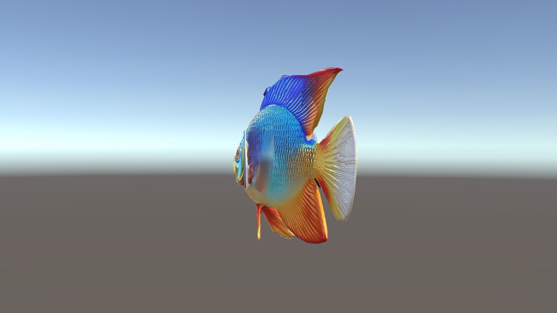 Colorful Tropical Fish Model Pack with PBR Textures Low-poly 3D model_21
