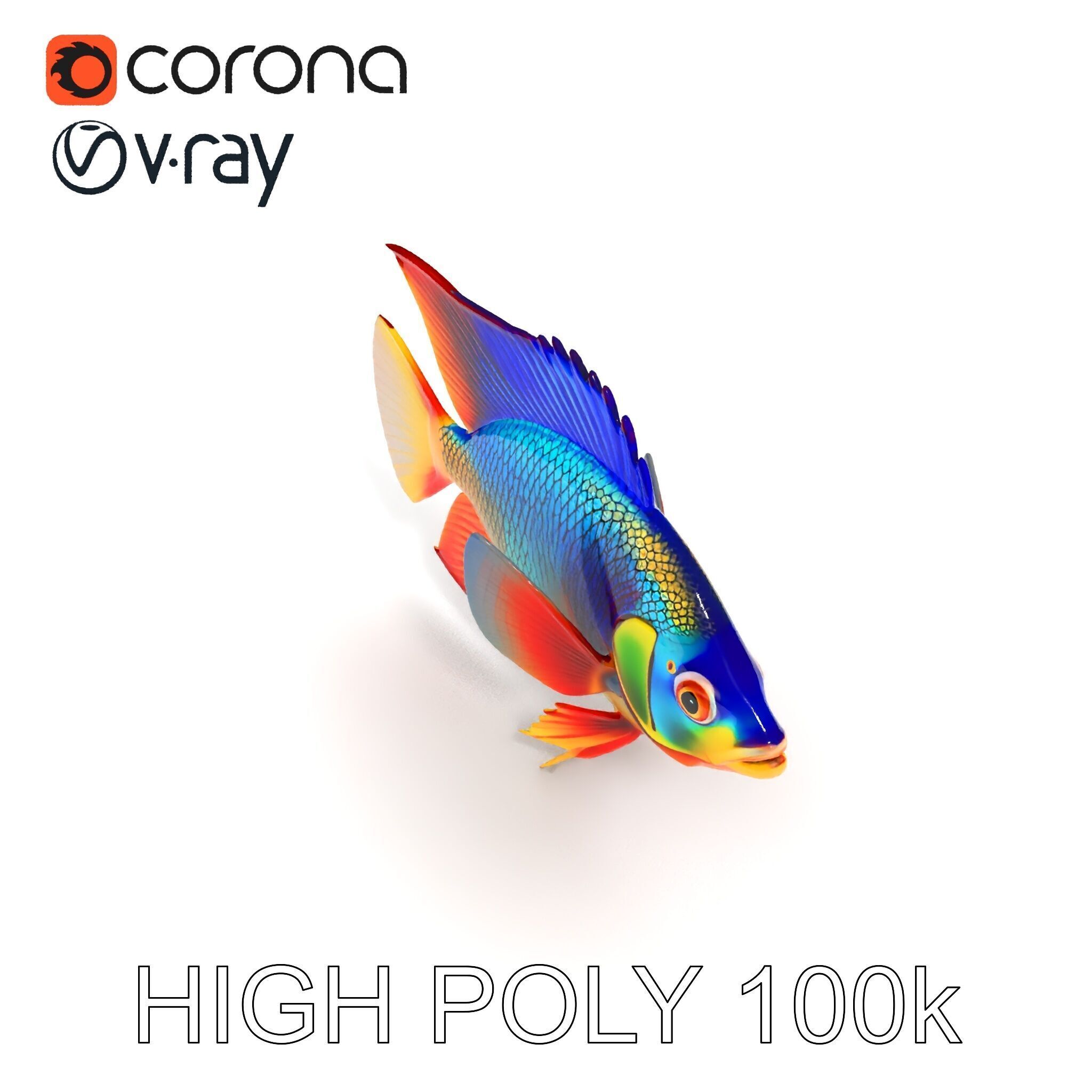 Colorful Tropical Fish Model Pack with PBR Textures Low-poly 3D model_22