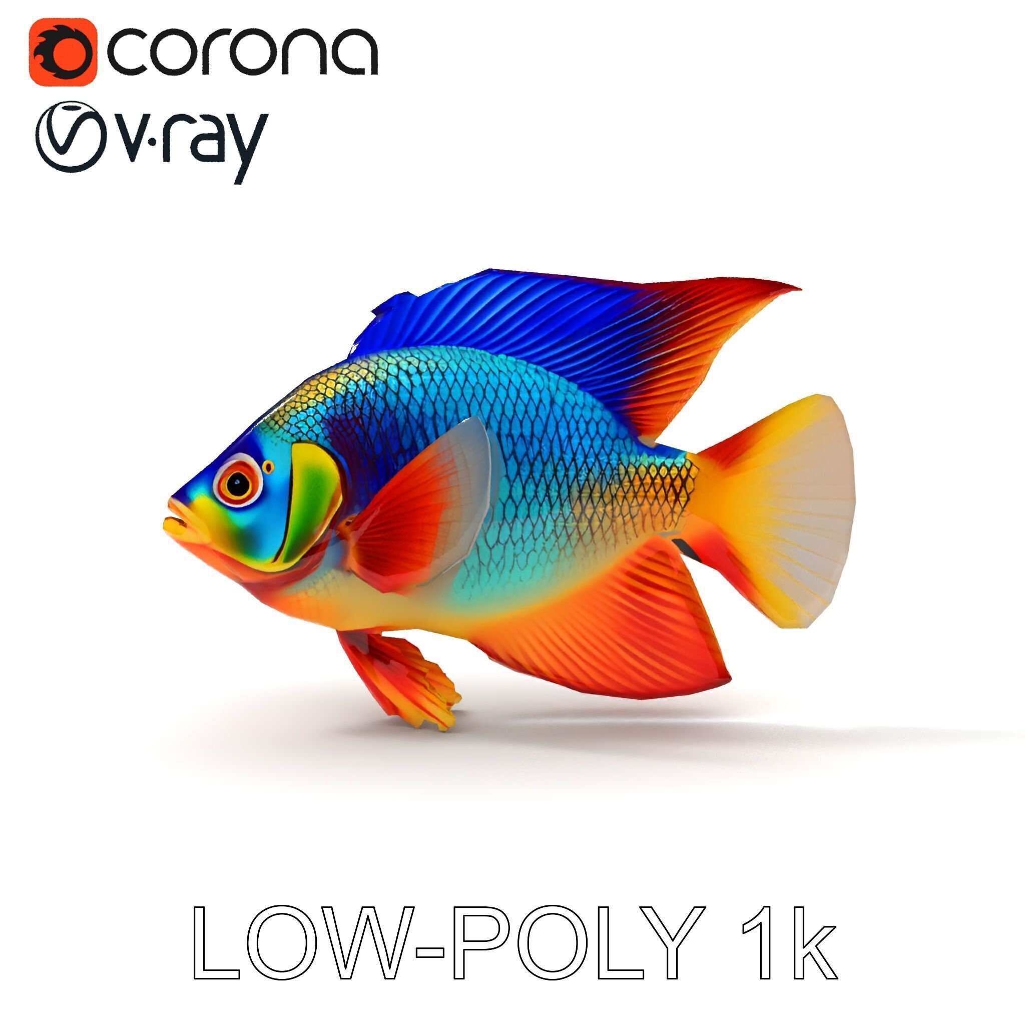 Colorful Tropical Fish Model Pack with PBR Textures Low-poly 3D model_35