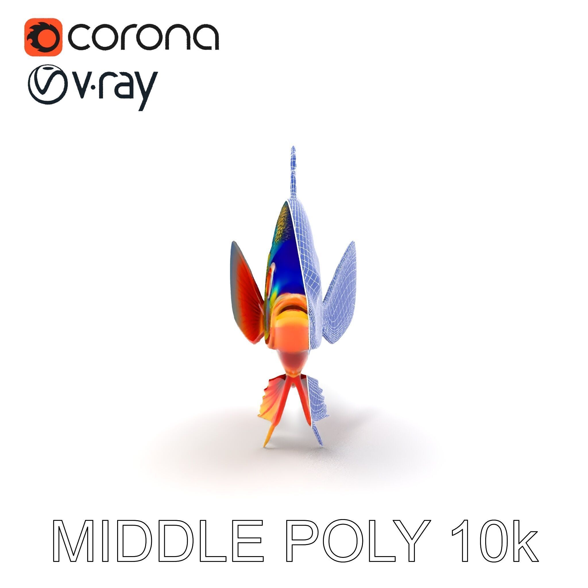 Colorful Tropical Fish Model Pack with PBR Textures Low-poly 3D model_11