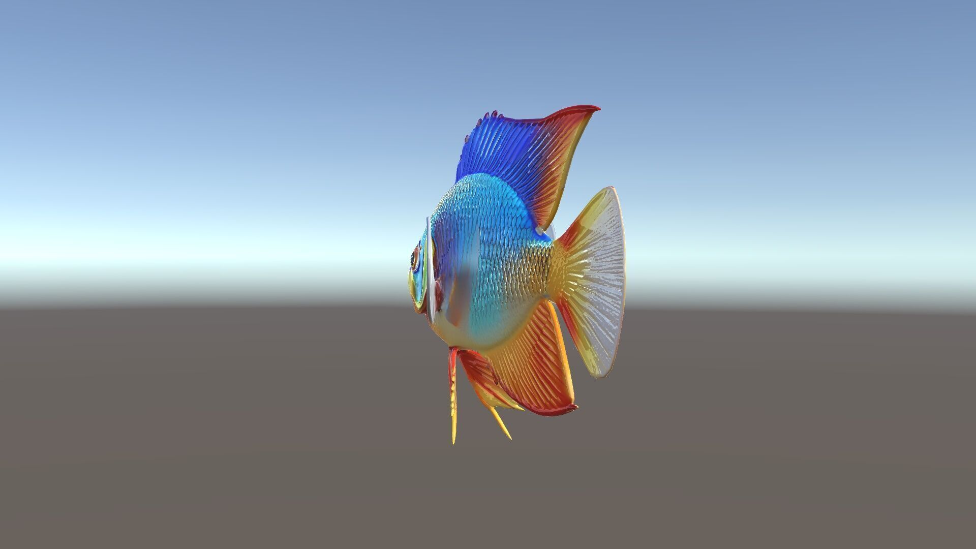 Colorful Tropical Fish Model Pack with PBR Textures Low-poly 3D model_23