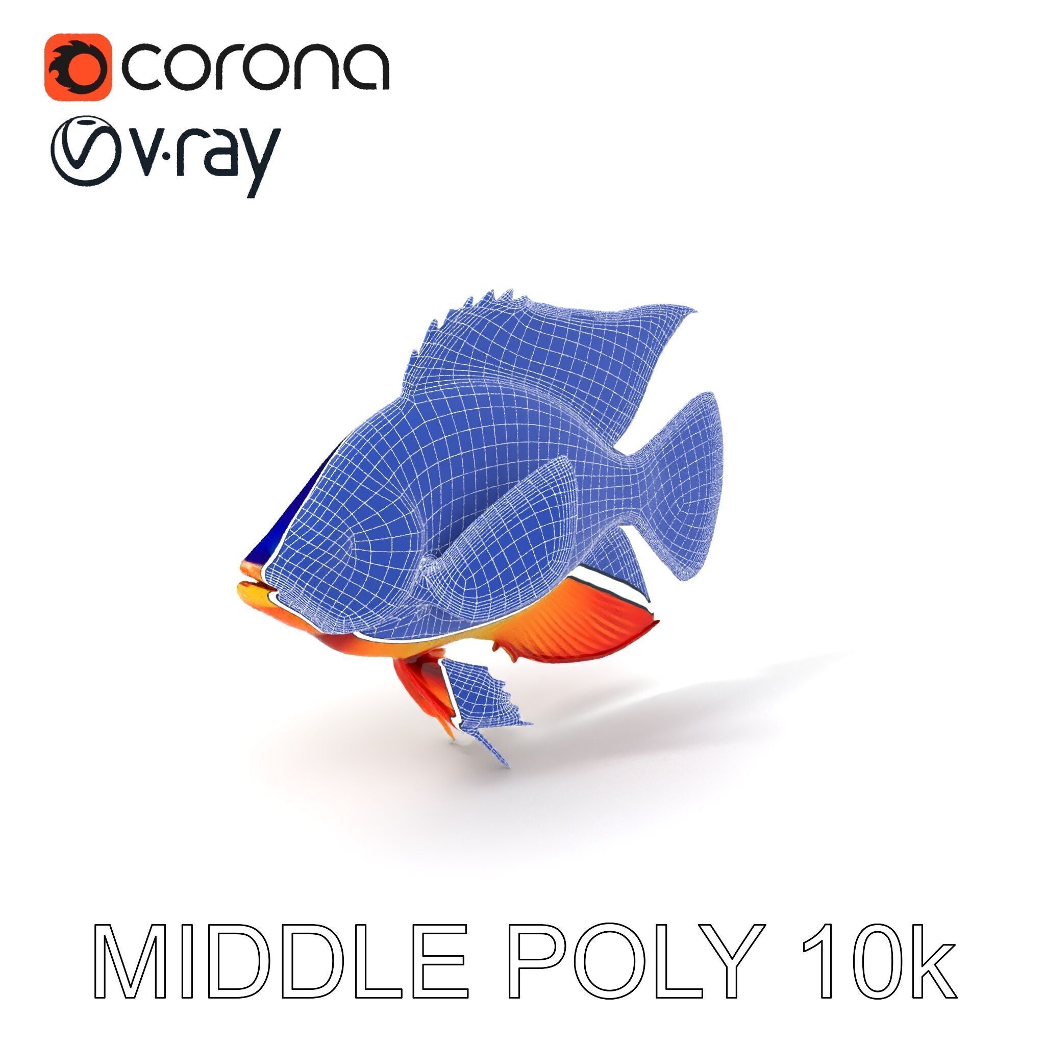Colorful Tropical Fish Model Pack with PBR Textures Low-poly 3D model_9