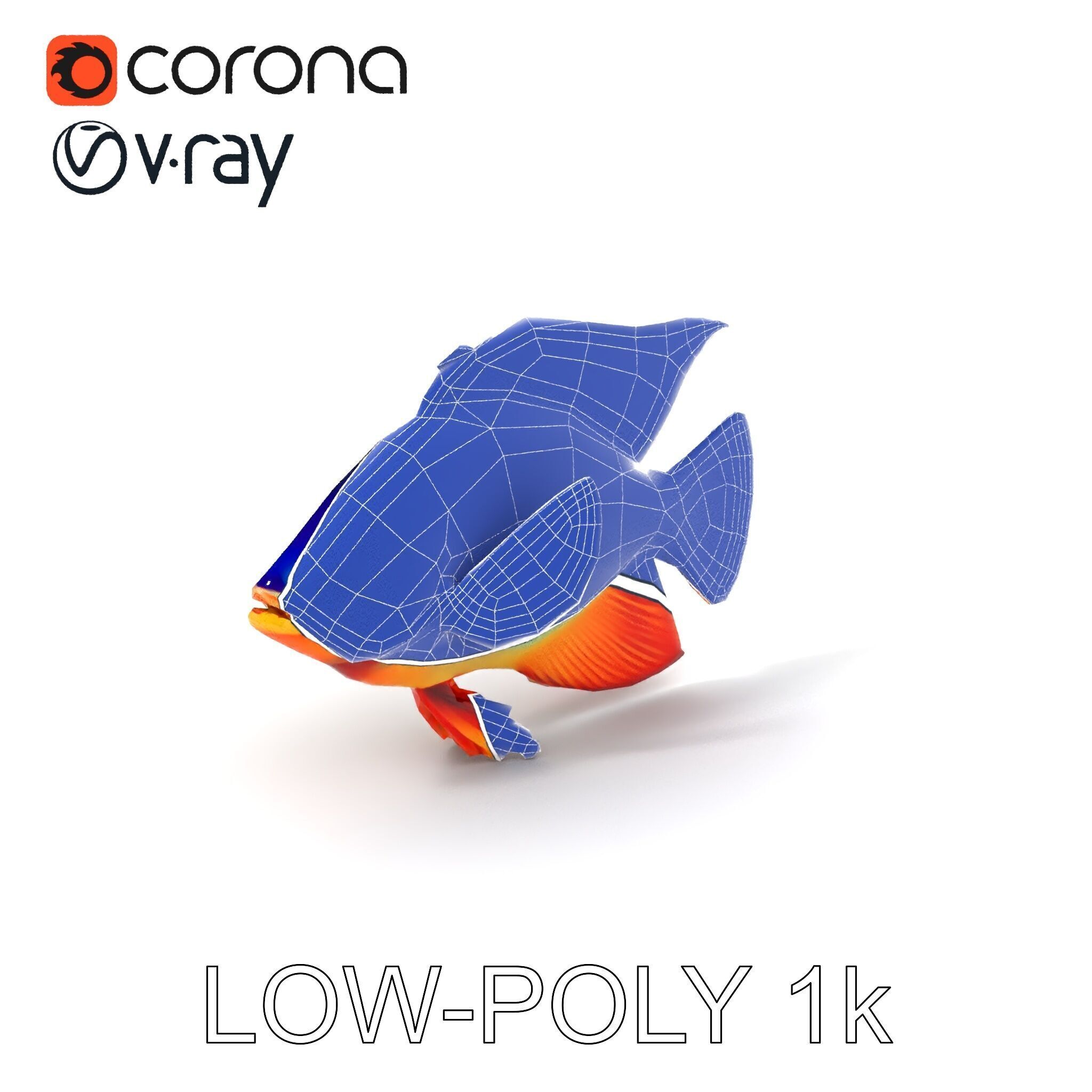 Colorful Tropical Fish Model Pack with PBR Textures Low-poly 3D model_12