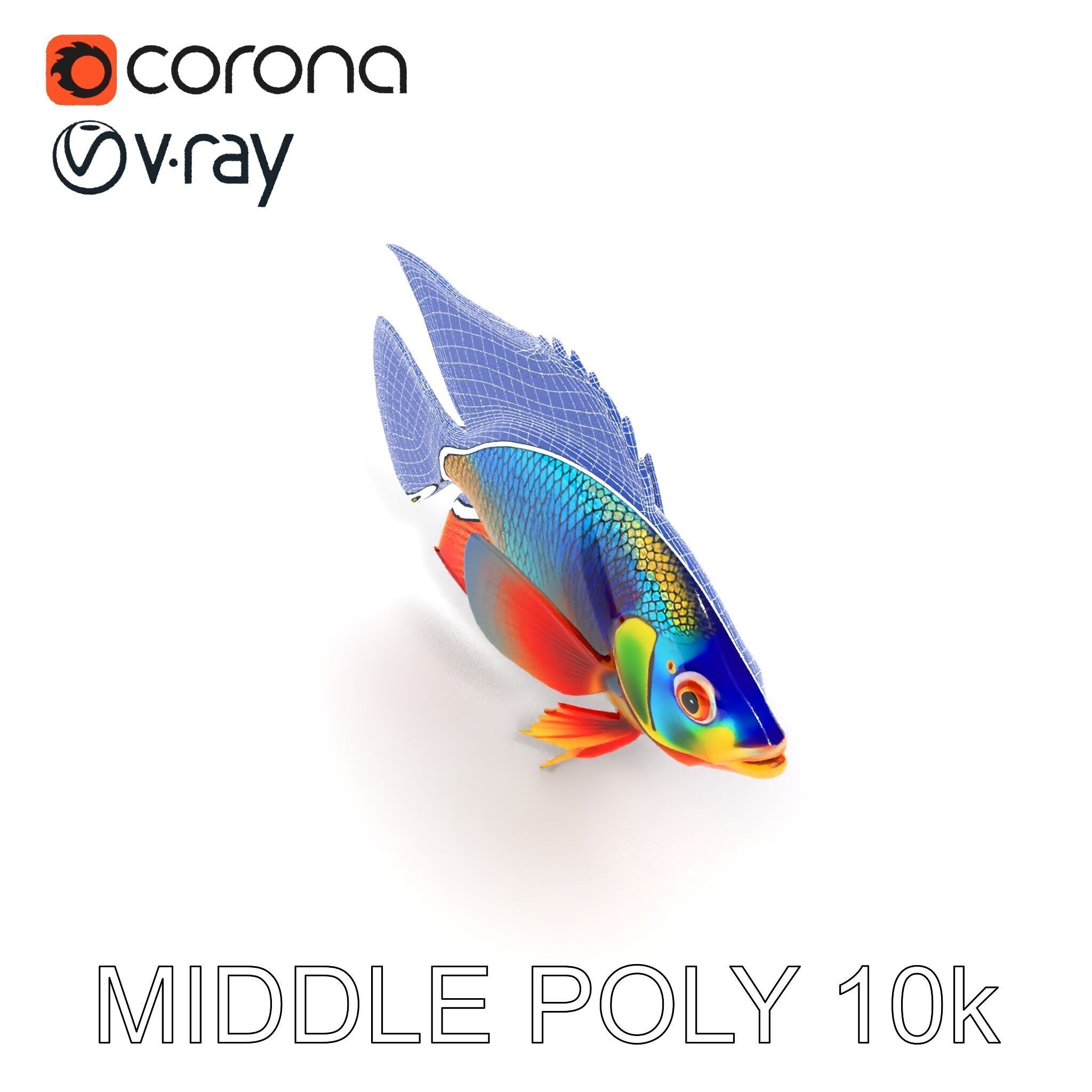 Colorful Tropical Fish Model Pack with PBR Textures Low-poly 3D model_20