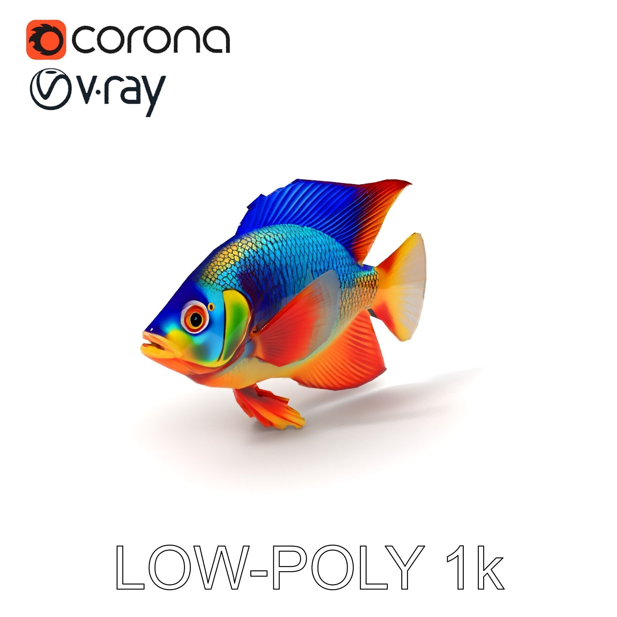 Colorful Tropical Fish Model Pack with PBR Textures Low-poly 3D model_7