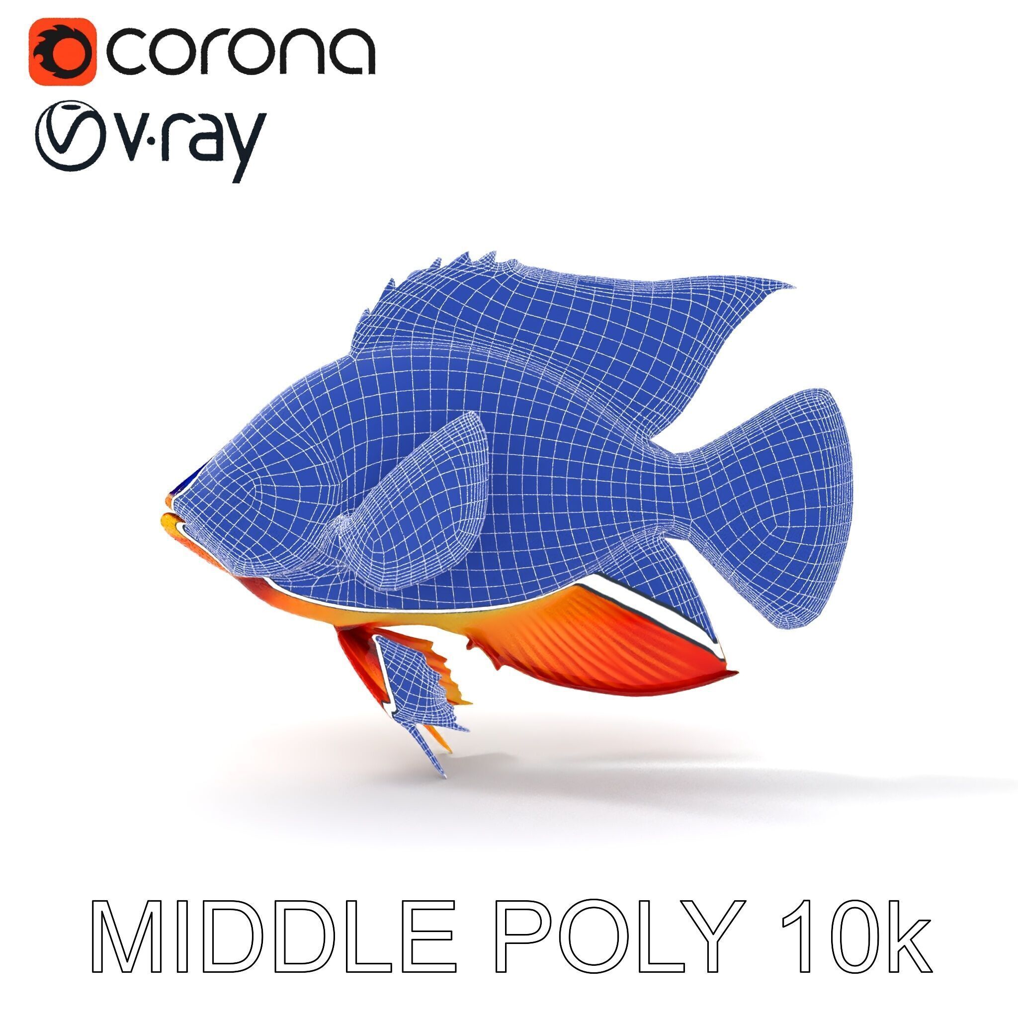 Colorful Tropical Fish Model Pack with PBR Textures Low-poly 3D model_31