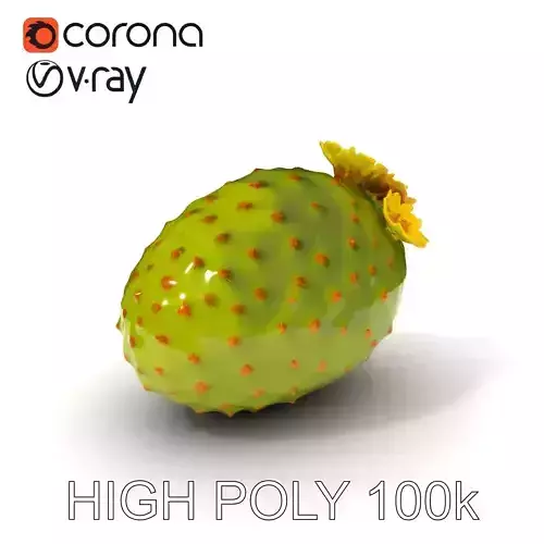 Cactus Flower Model Pack with Detailed Textures