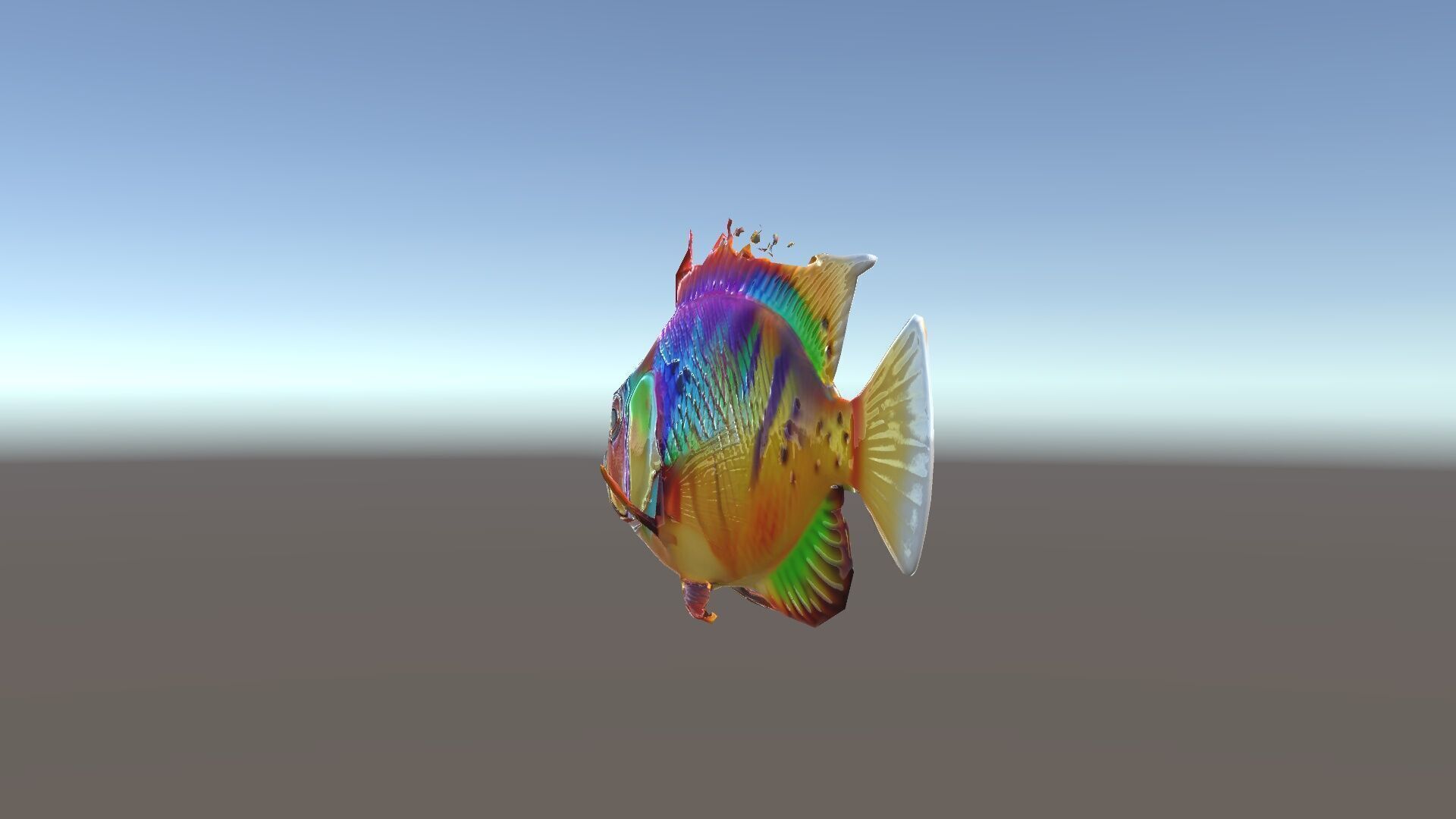 Colorful Fish Model Pack for Game and Animation Low-poly 3D model_11