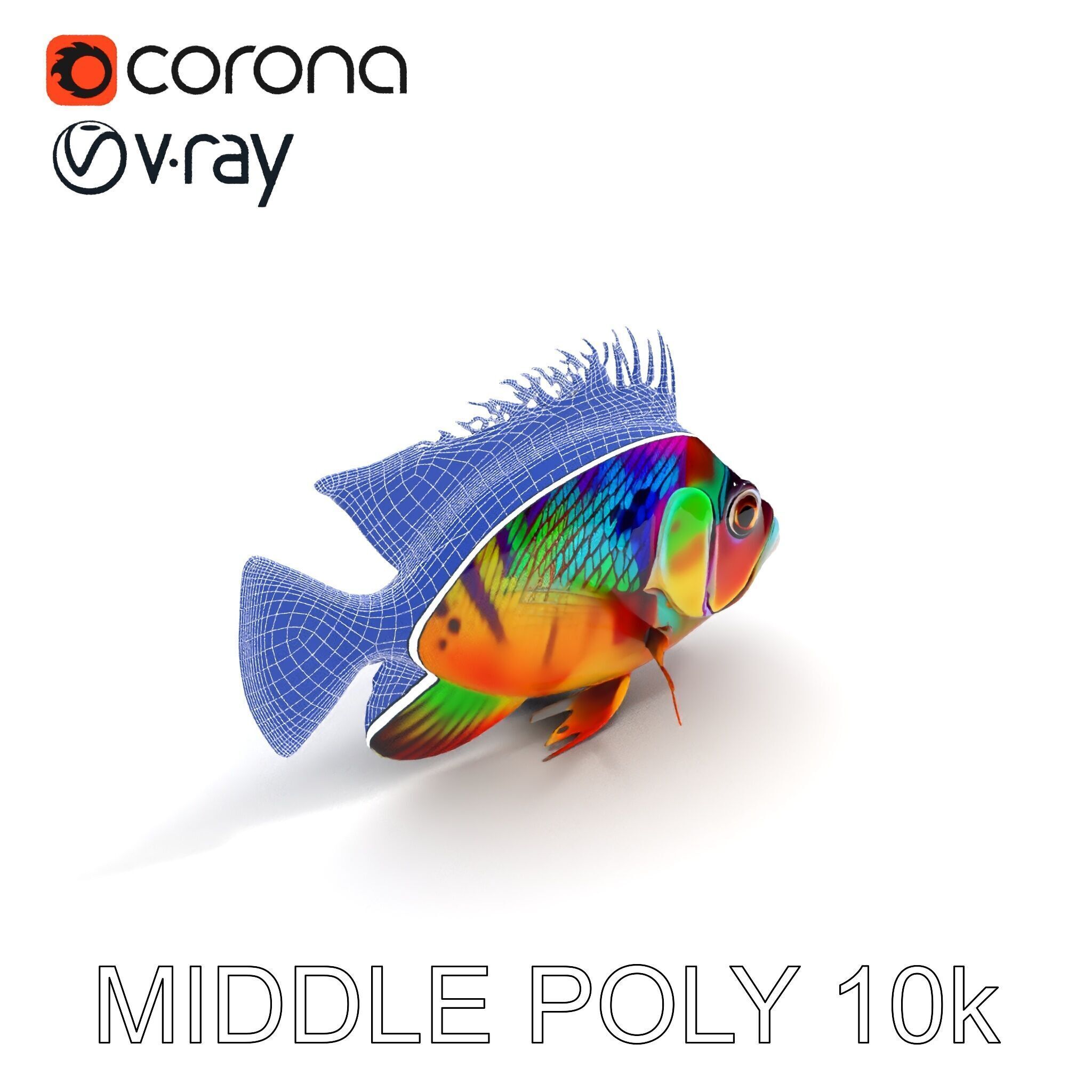 Colorful Fish Model Pack for Game and Animation Low-poly 3D model_6