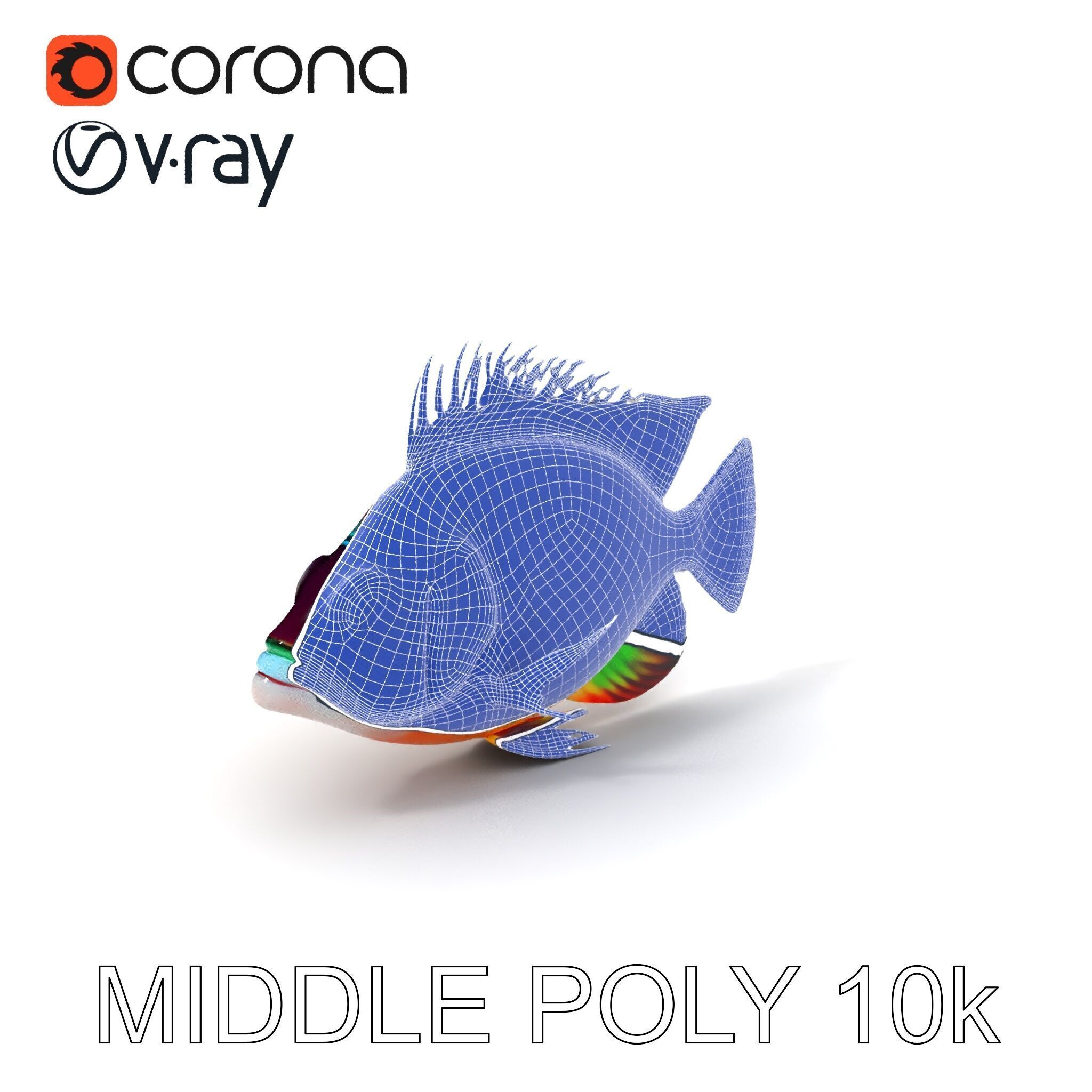 Colorful Fish Model Pack for Game and Animation Low-poly 3D model_24