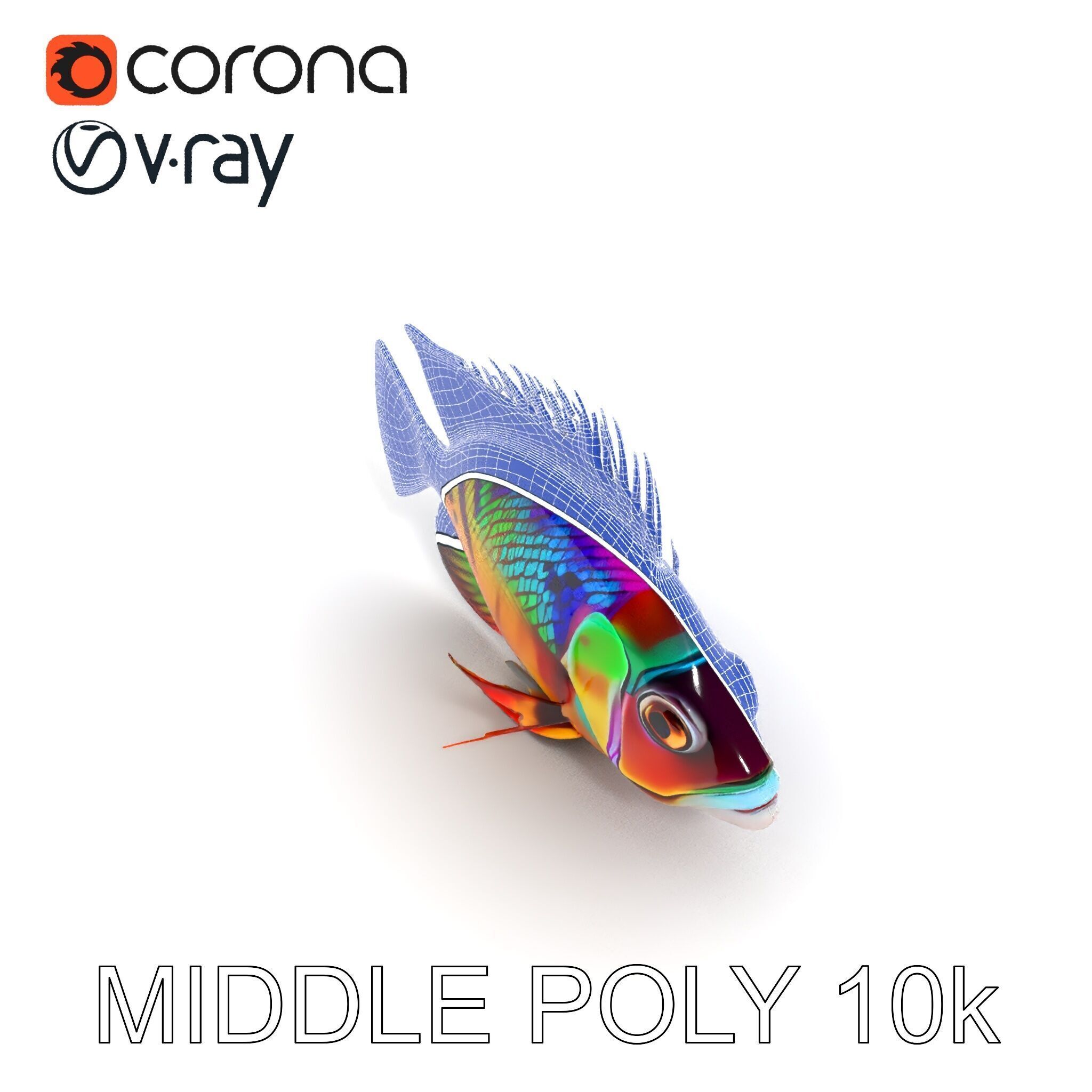 Colorful Fish Model Pack for Game and Animation Low-poly 3D model_30