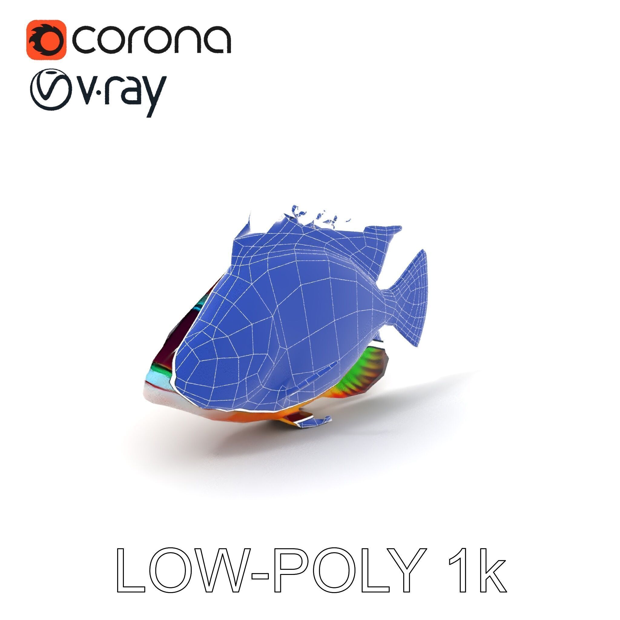 Colorful Fish Model Pack for Game and Animation Low-poly 3D model_25