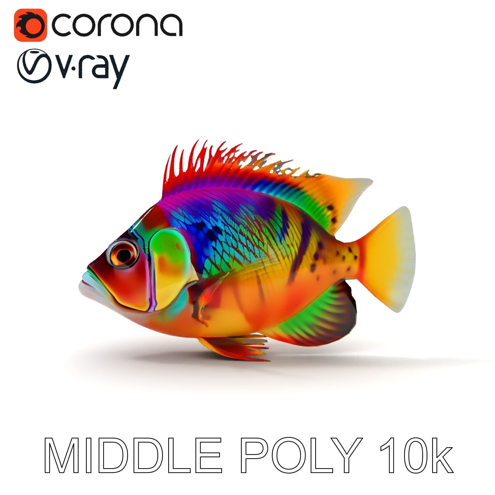 Colorful Fish Model Pack for Game and Animation Low-poly 3D model_27