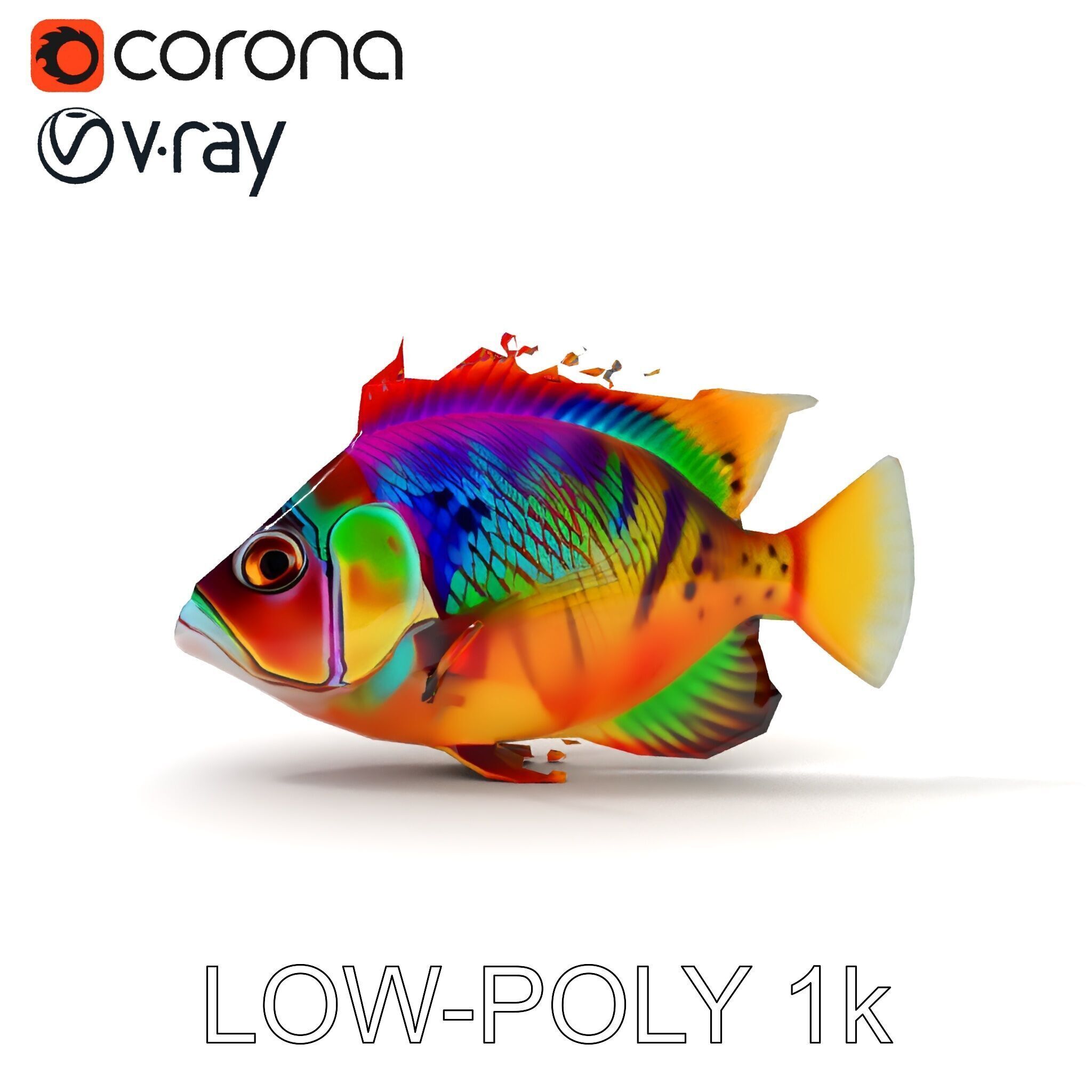 Colorful Fish Model Pack for Game and Animation Low-poly 3D model_34