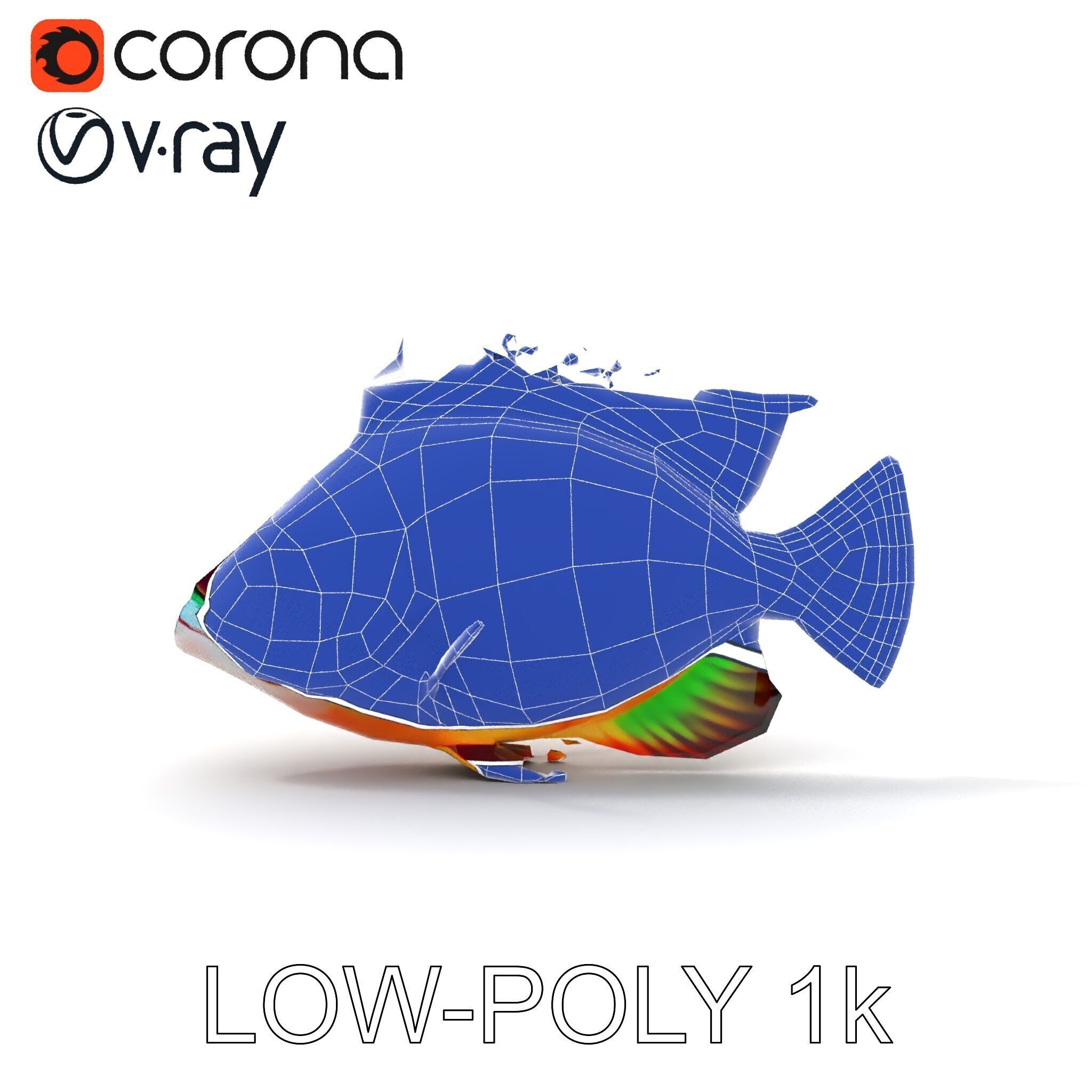 Colorful Fish Model Pack for Game and Animation Low-poly 3D model_9