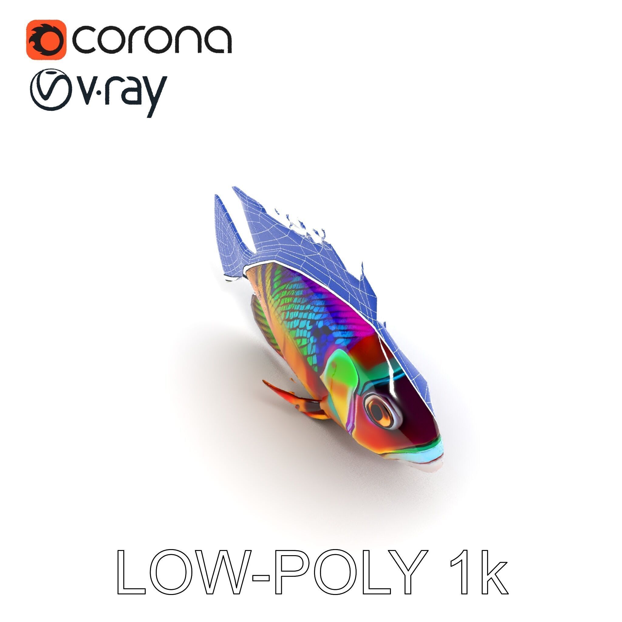 Colorful Fish Model Pack for Game and Animation Low-poly 3D model_31