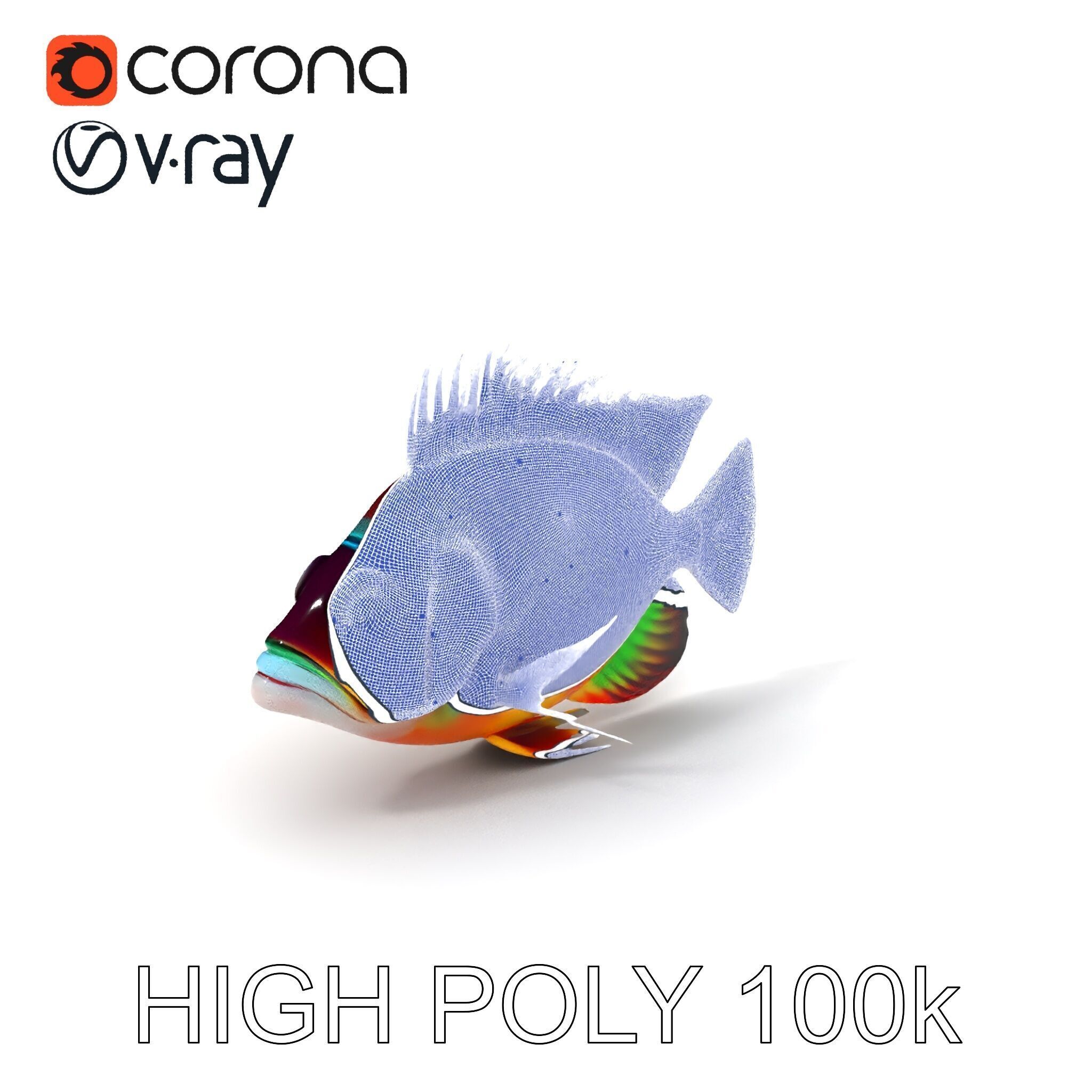 Colorful Fish Model Pack for Game and Animation Low-poly 3D model_3
