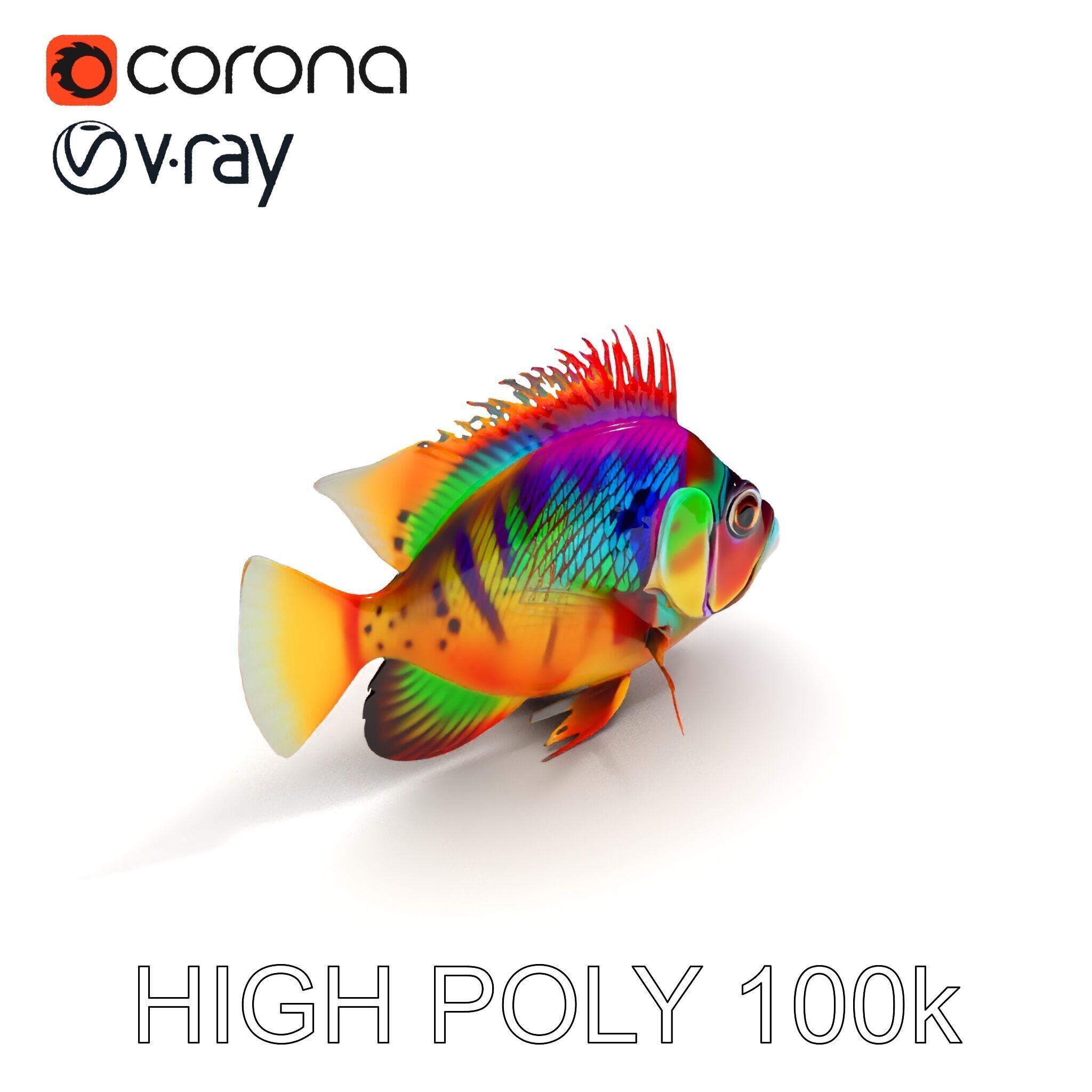 Colorful Fish Model Pack for Game and Animation Low-poly 3D model_29