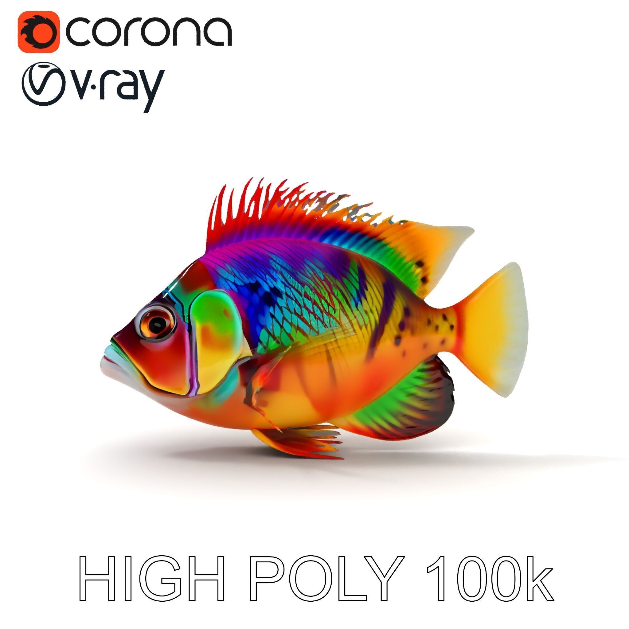 Colorful Fish Model Pack for Game and Animation Low-poly 3D model_20