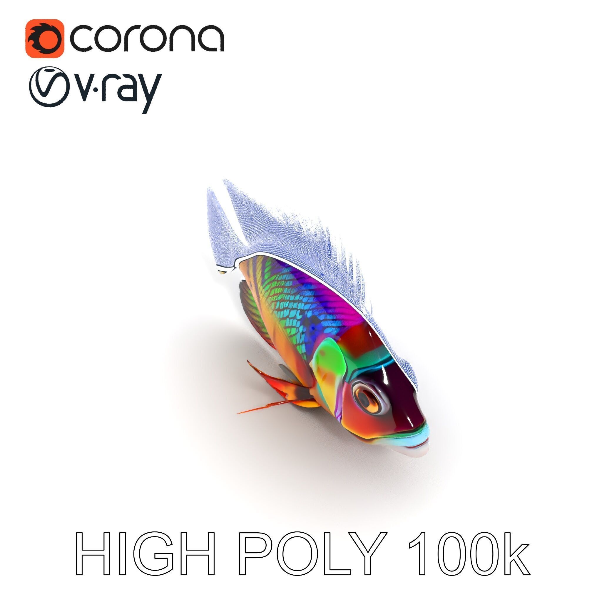 Colorful Fish Model Pack for Game and Animation Low-poly 3D model_17