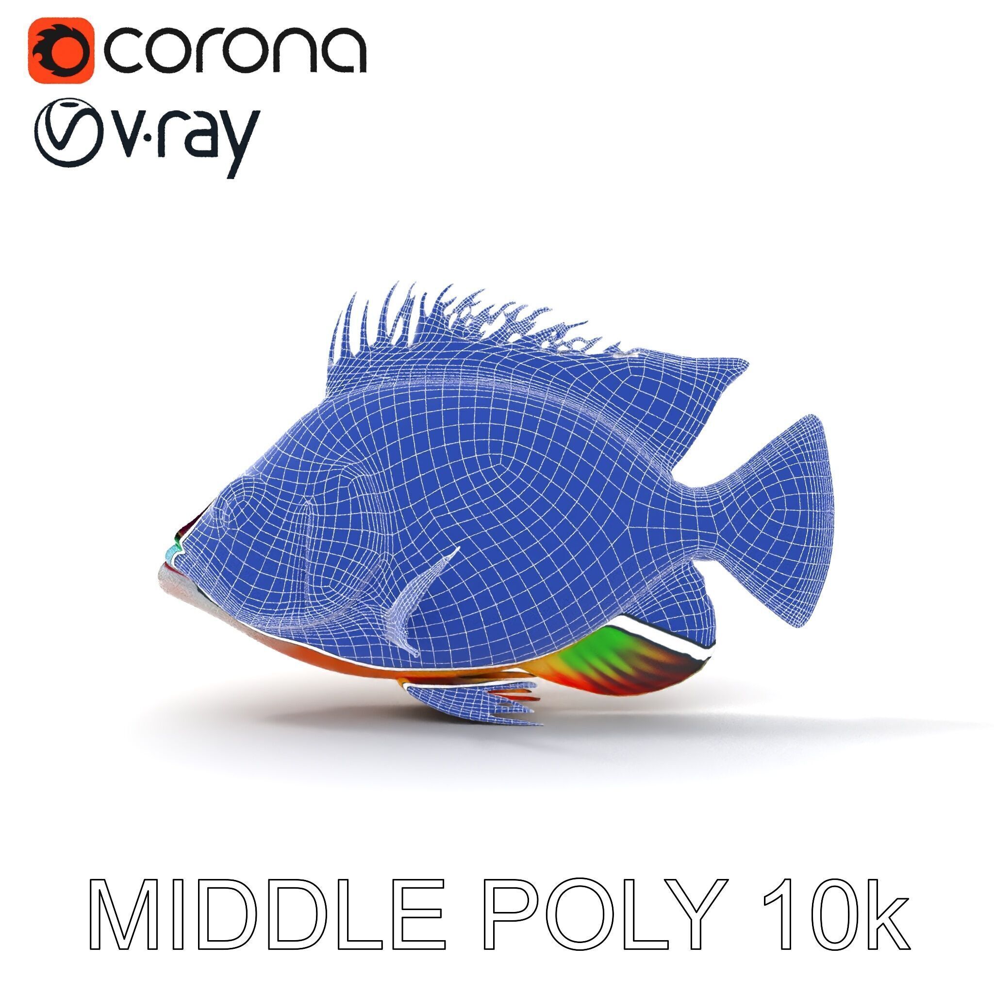 Colorful Fish Model Pack for Game and Animation Low-poly 3D model_18