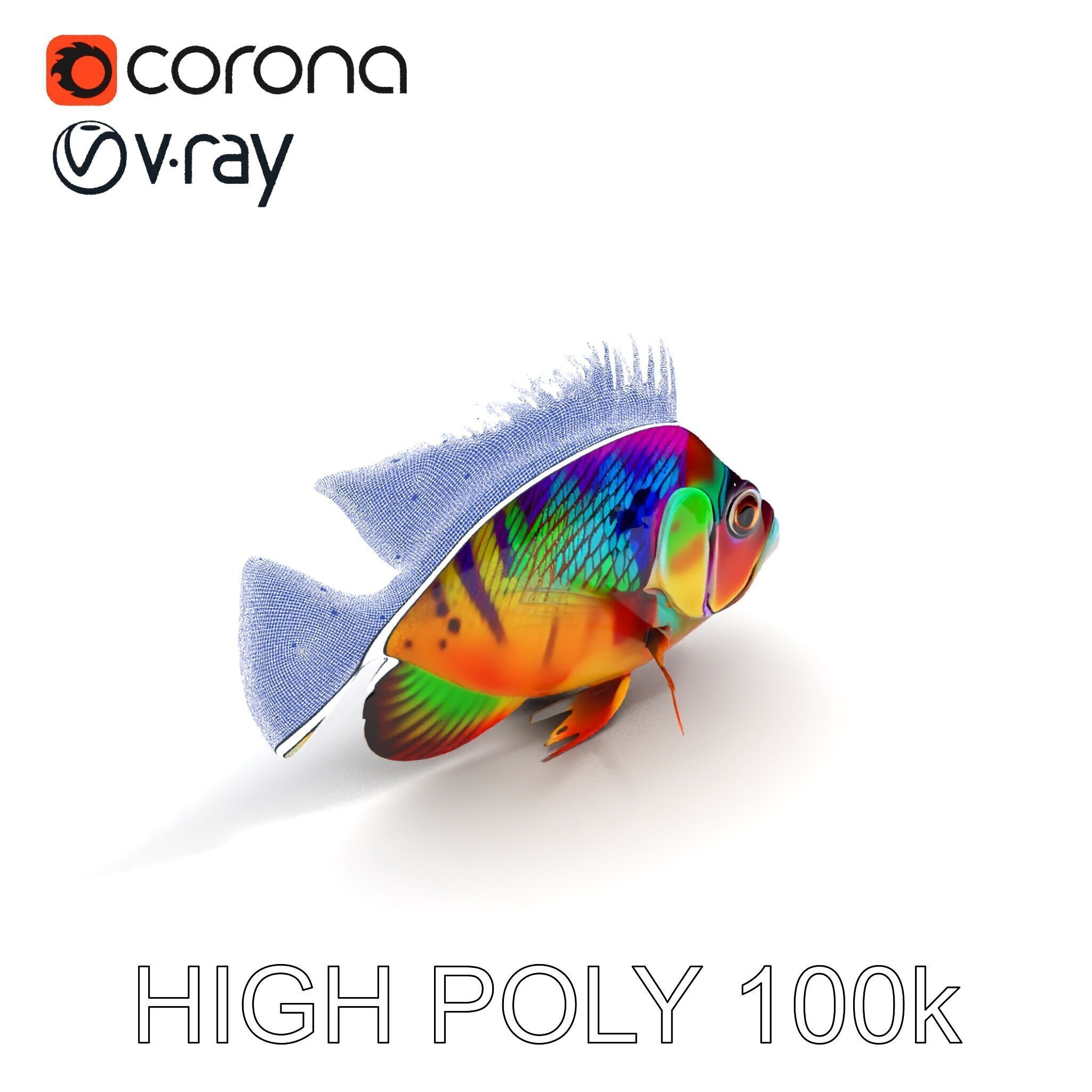 Colorful Fish Model Pack for Game and Animation Low-poly 3D model_23