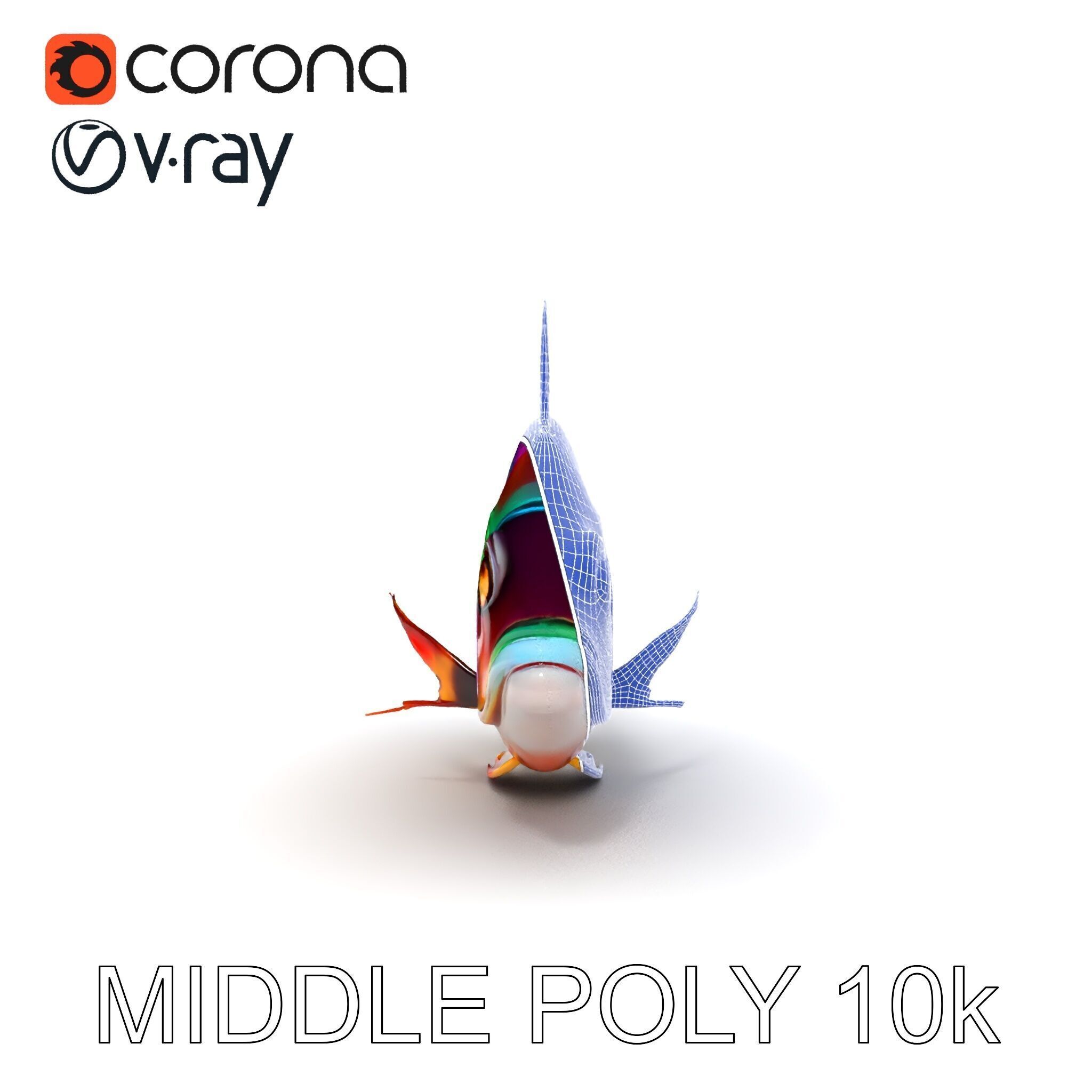 Colorful Fish Model Pack for Game and Animation Low-poly 3D model_10