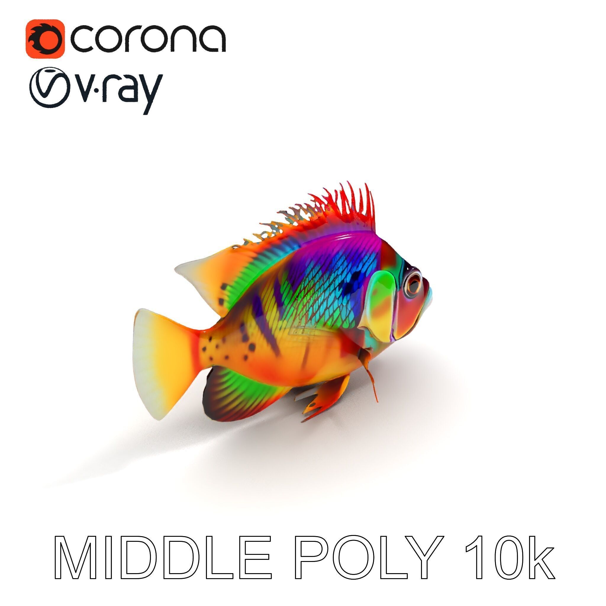 Colorful Fish Model Pack for Game and Animation Low-poly 3D model_15