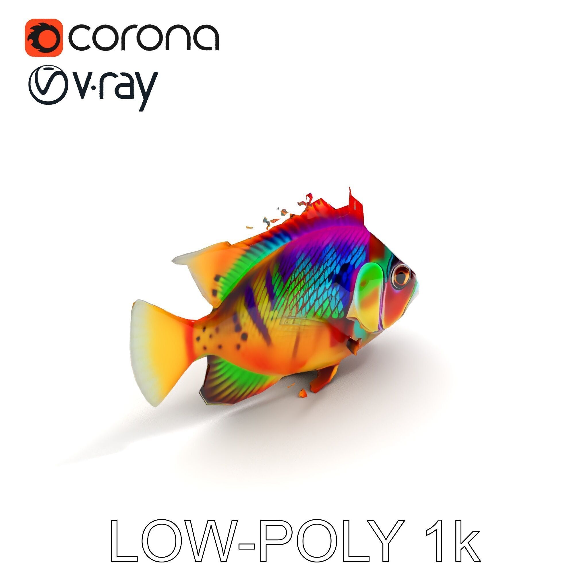 Colorful Fish Model Pack for Game and Animation Low-poly 3D model_28