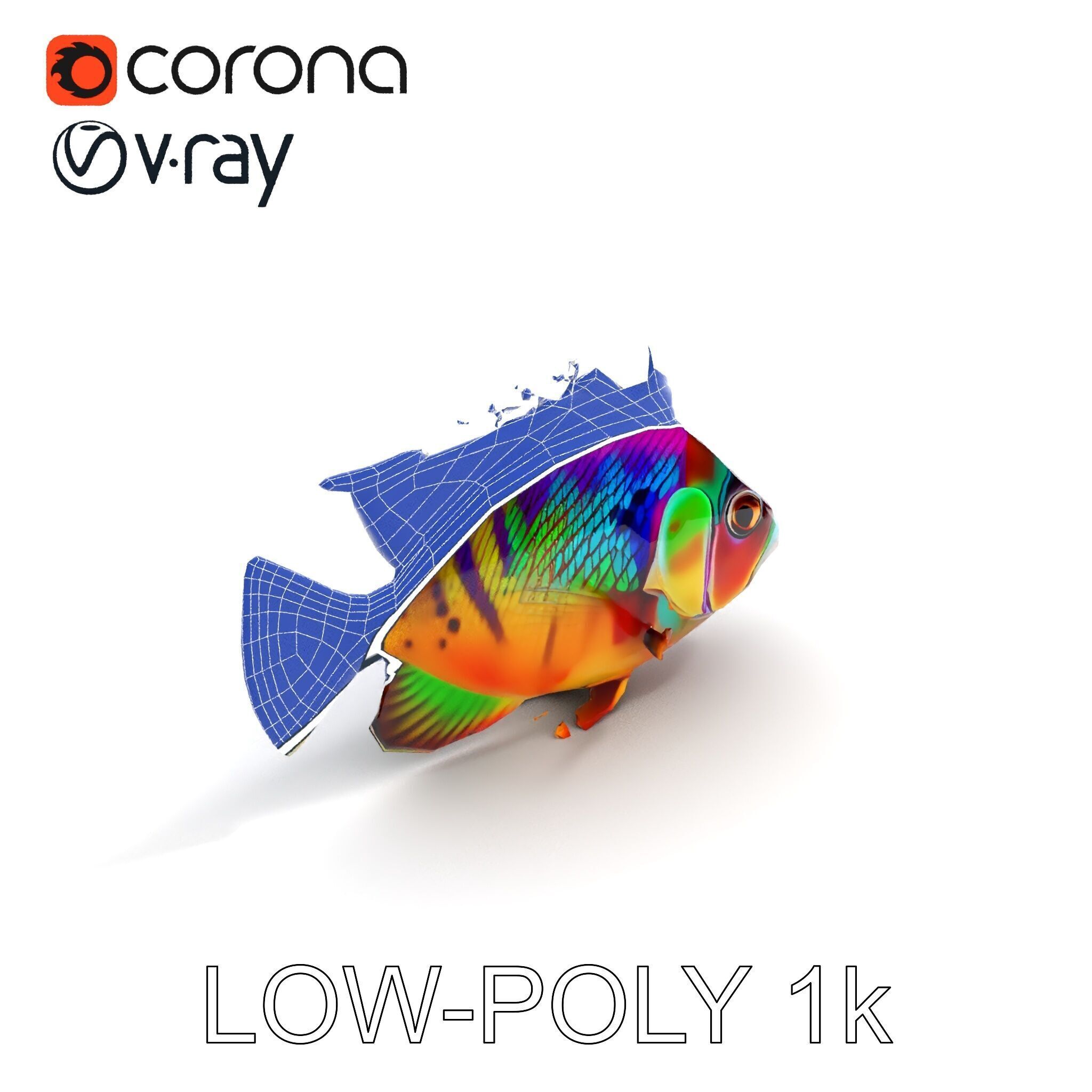 Colorful Fish Model Pack for Game and Animation Low-poly 3D model_22