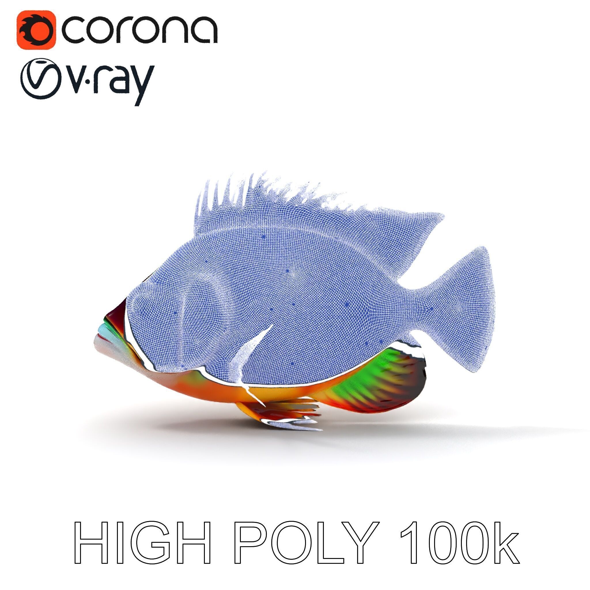 Colorful Fish Model Pack for Game and Animation Low-poly 3D model_14