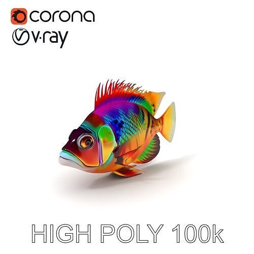 Colorful Fish Model Pack for Game and Animation Low-poly 3D model
