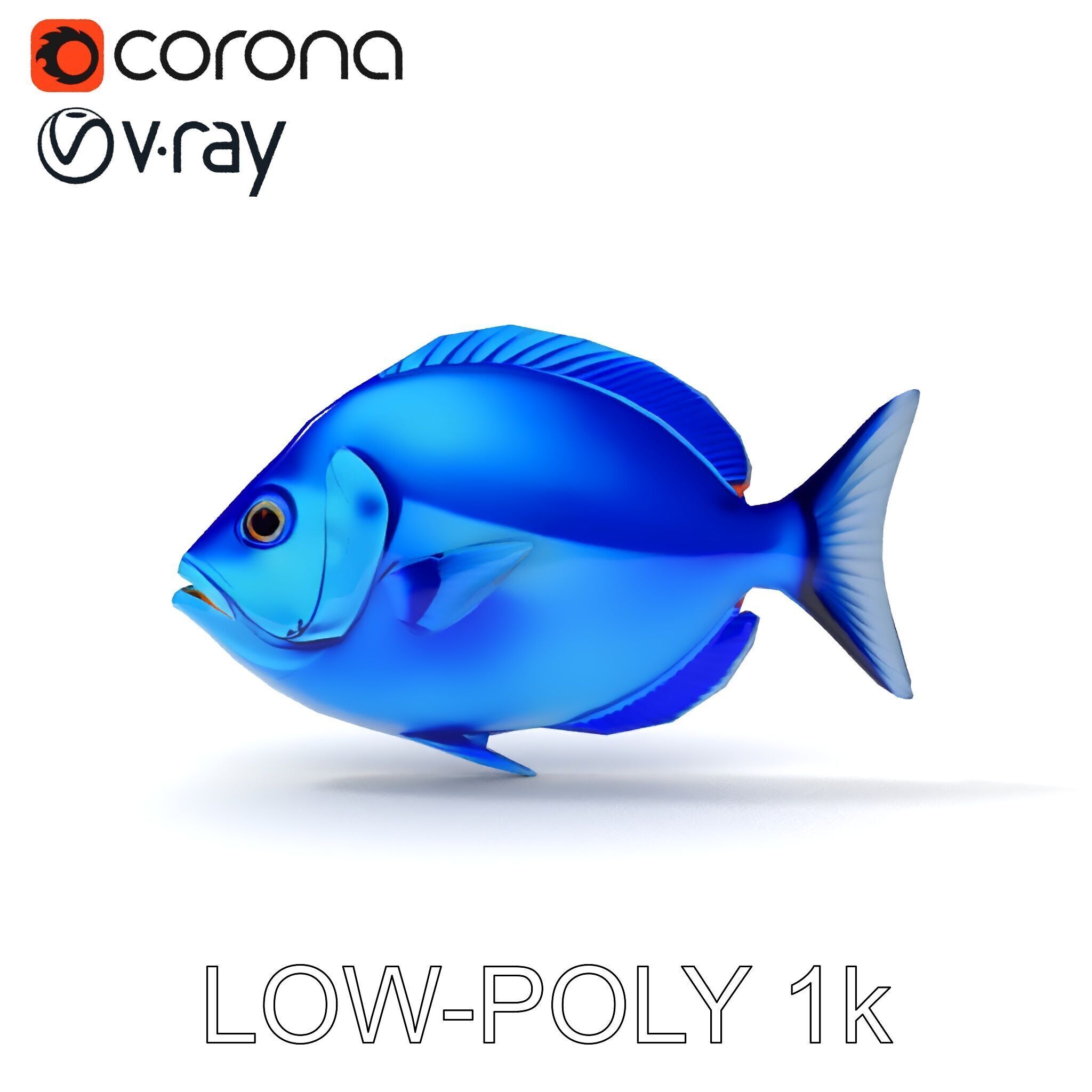Blue Fish Model Pack for Aquatic Scenes Low-poly 3D model_21
