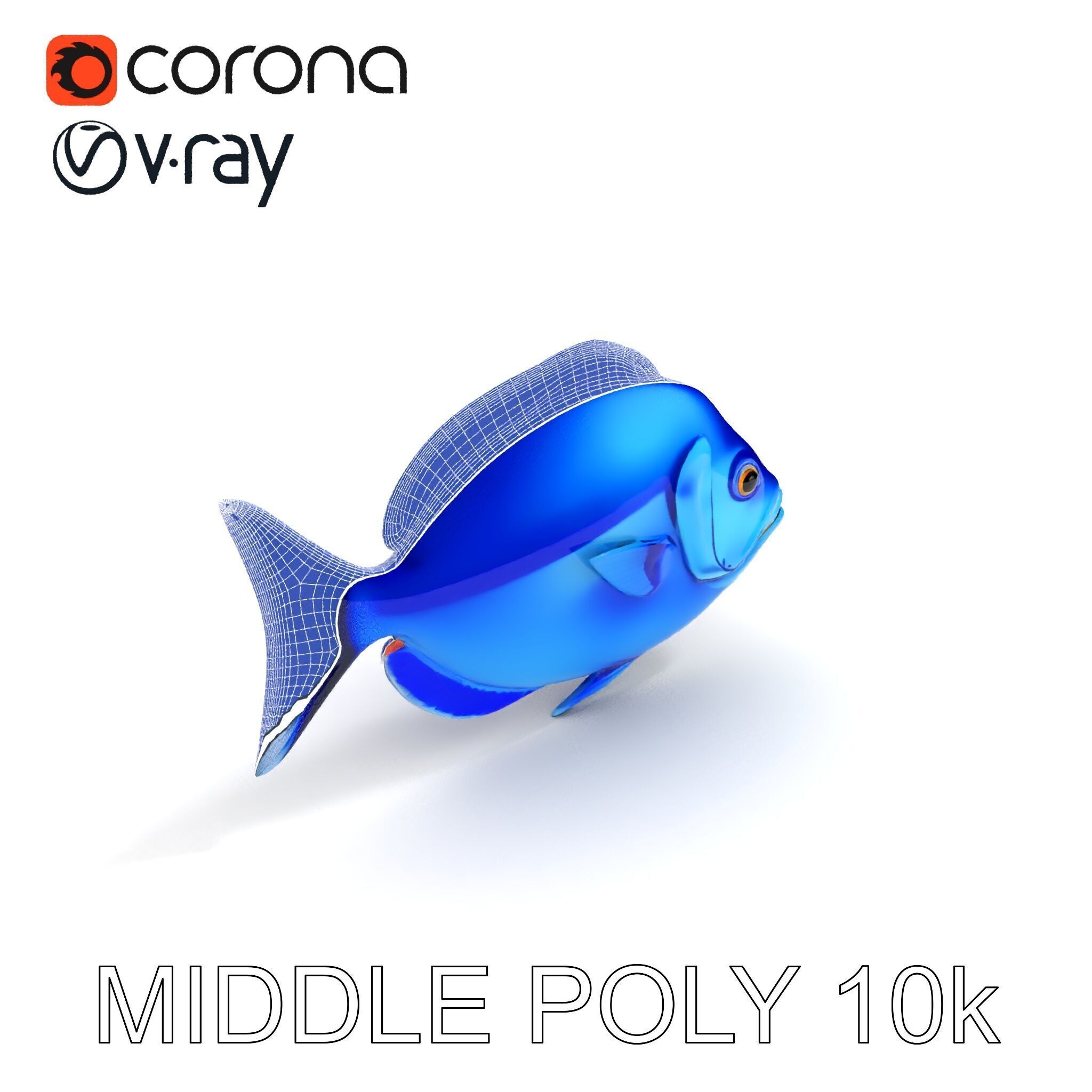 Blue Fish Model Pack for Aquatic Scenes Low-poly 3D model_20