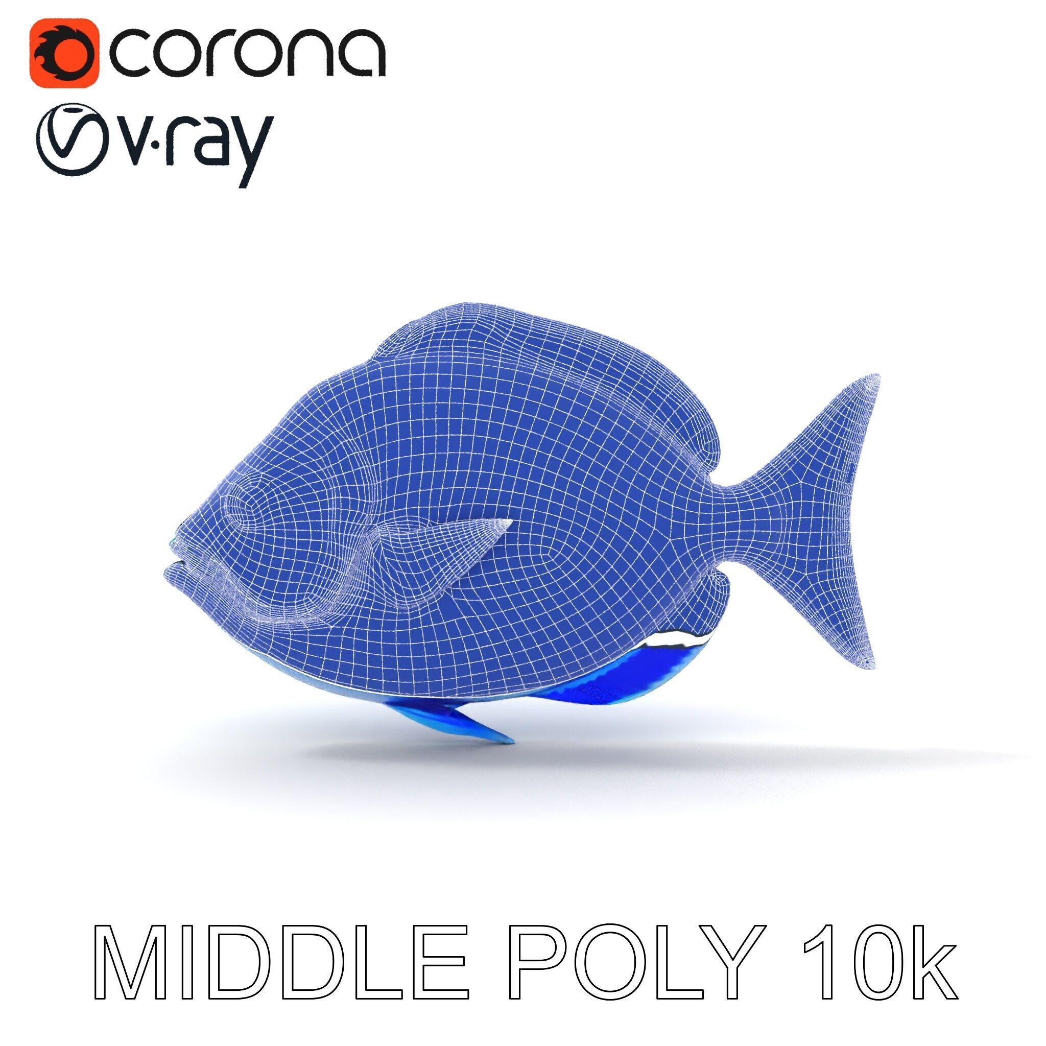 Blue Fish Model Pack for Aquatic Scenes Low-poly 3D model_28