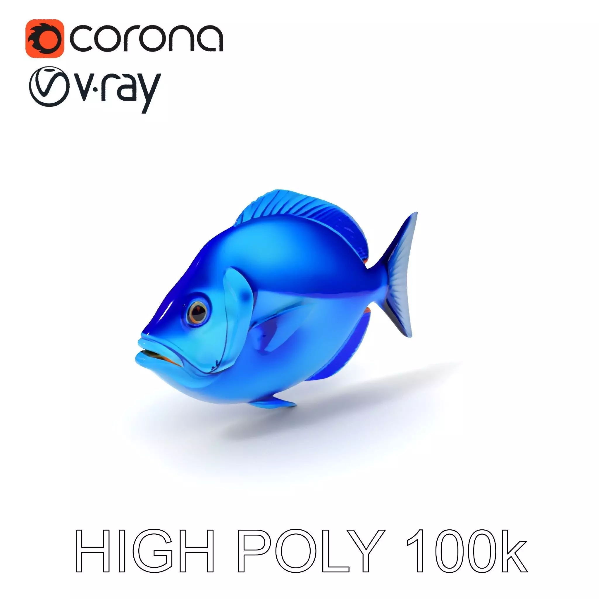 Blue Fish Model Pack for Aquatic Scenes Low-poly 3D model_0