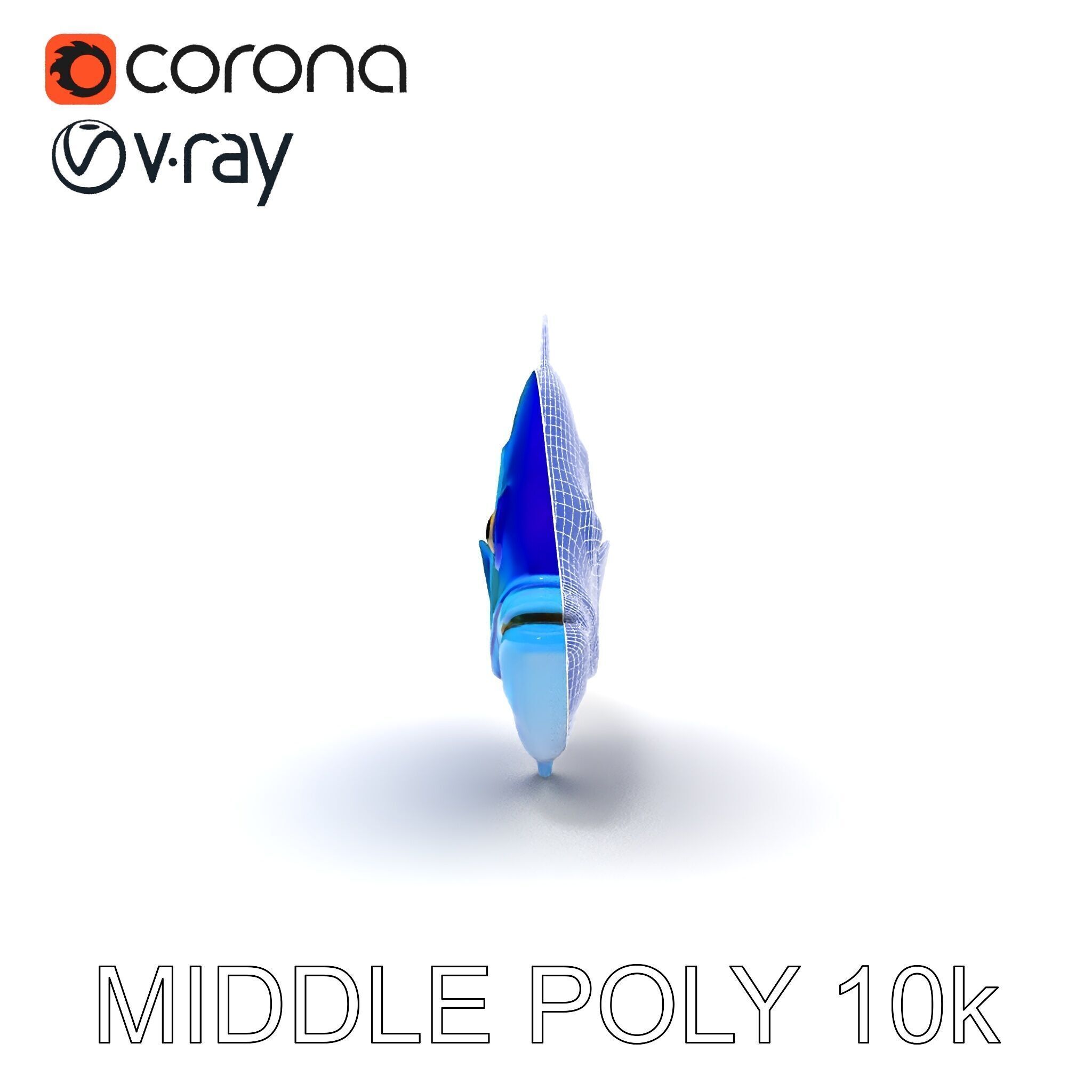 Blue Fish Model Pack for Aquatic Scenes Low-poly 3D model_8