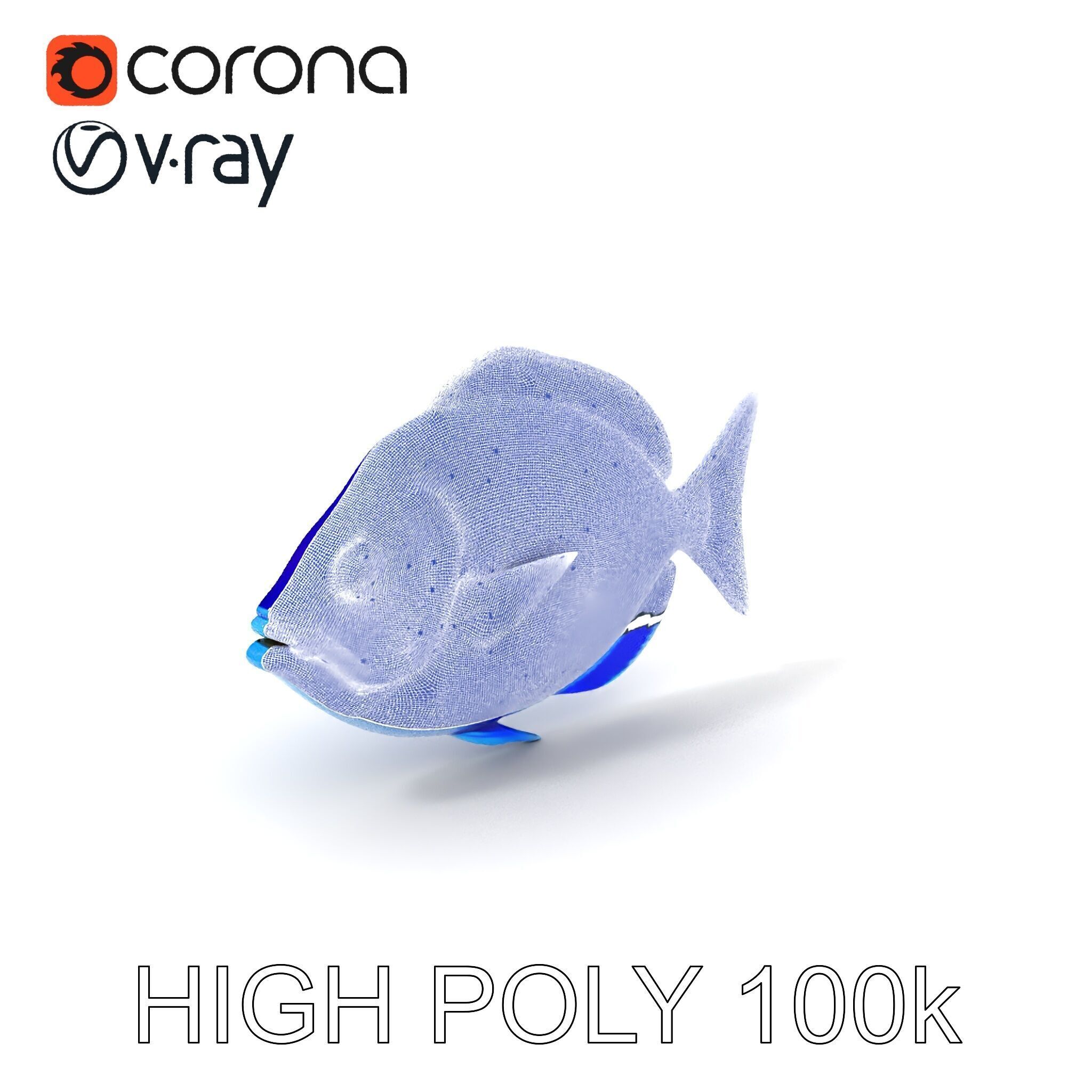 Blue Fish Model Pack for Aquatic Scenes Low-poly 3D model_3