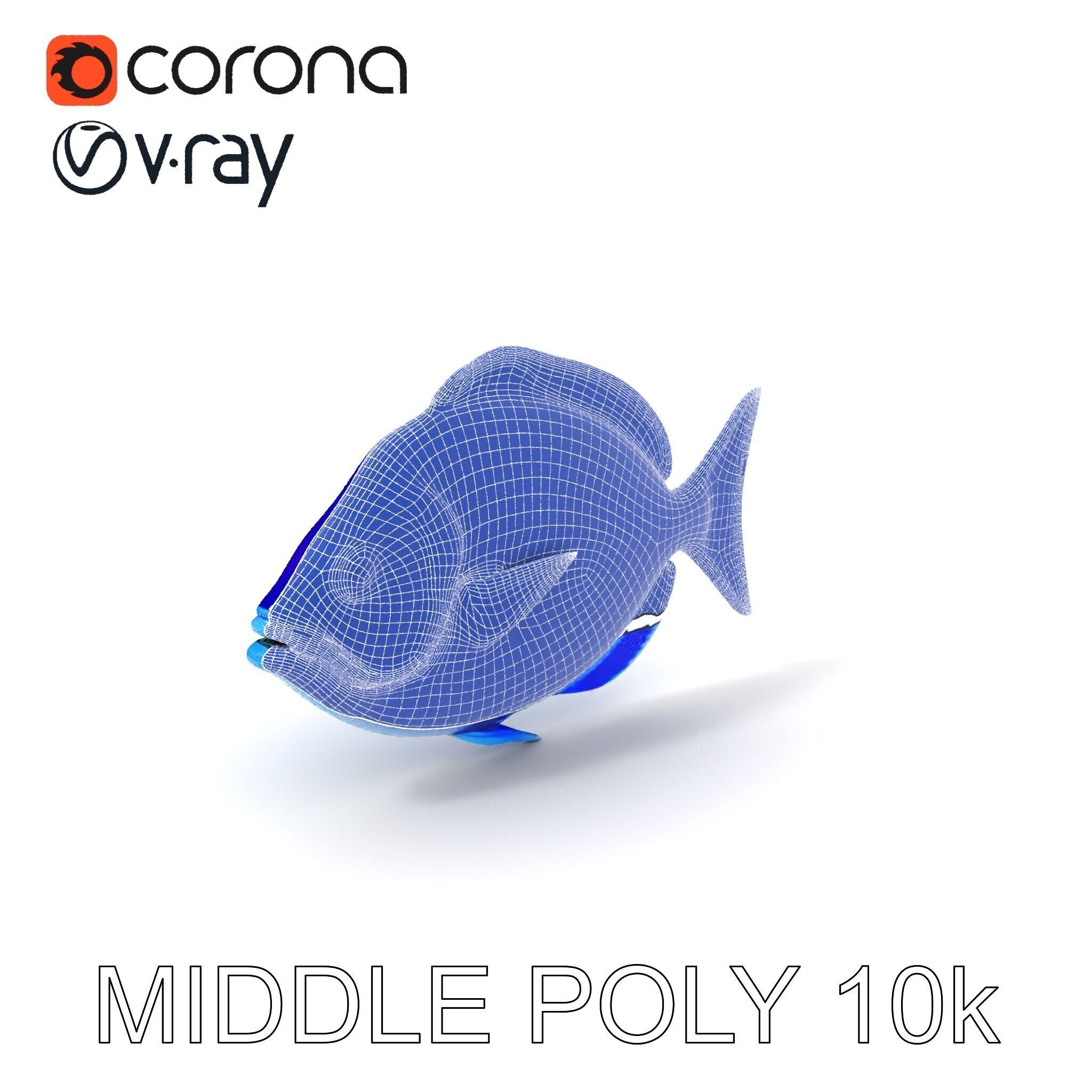 Blue Fish Model Pack for Aquatic Scenes Low-poly 3D model_25