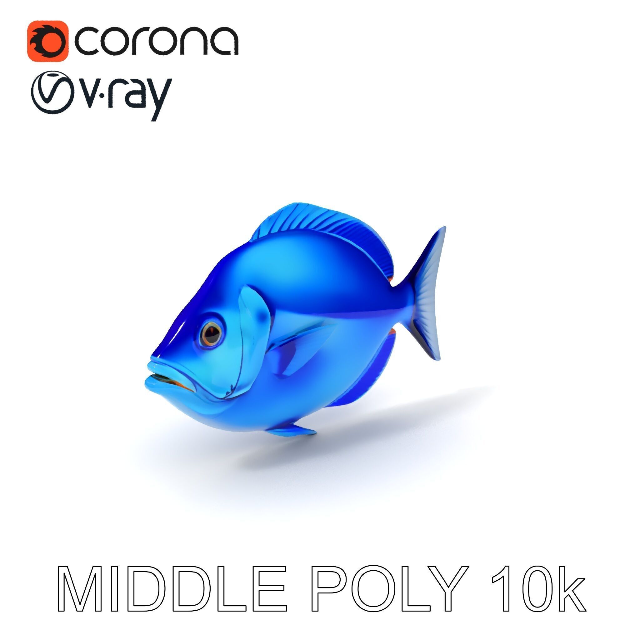 Blue Fish Model Pack for Aquatic Scenes Low-poly 3D model_30