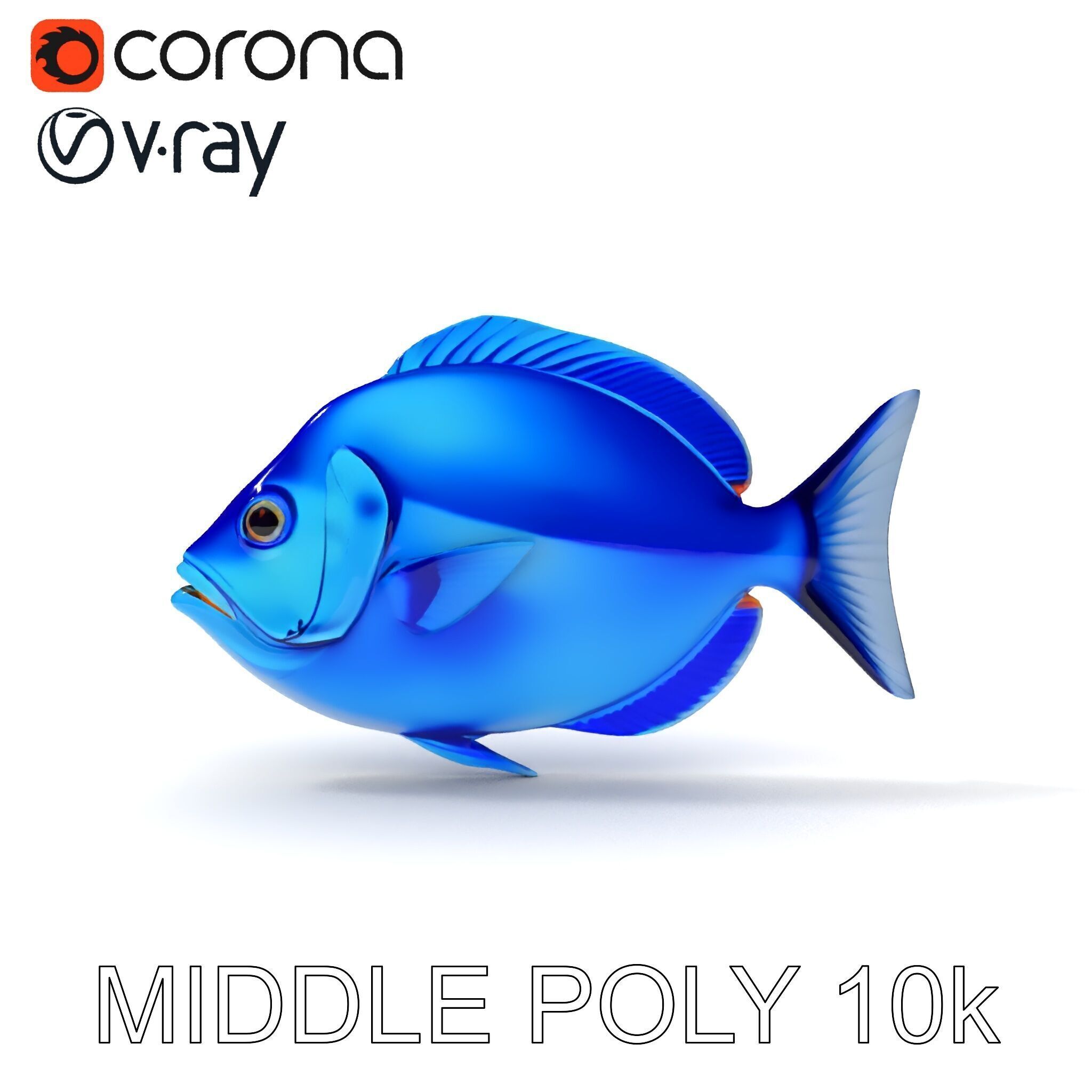 Blue Fish Model Pack for Aquatic Scenes Low-poly 3D model_33
